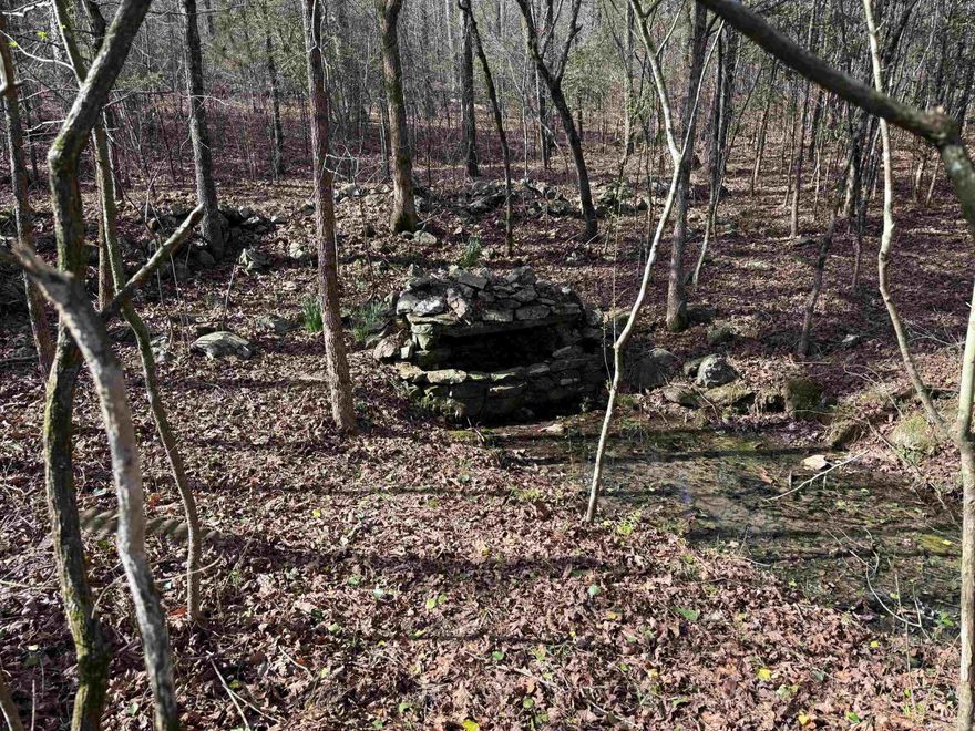 This is a one of a kind property with a Spring that runs Year Around!  This unique Property lies along a county road so it has great access.  This property is close to the Cossatot River State Park sand bar swimming and recreational area.  The property is wooded with mostly Pine Plantation Timber with some Hardwoods.  Electric and Rural Water is readily available at this Property.  Some restrictions apply  Property to be surveyed for correct legal description and acreage.