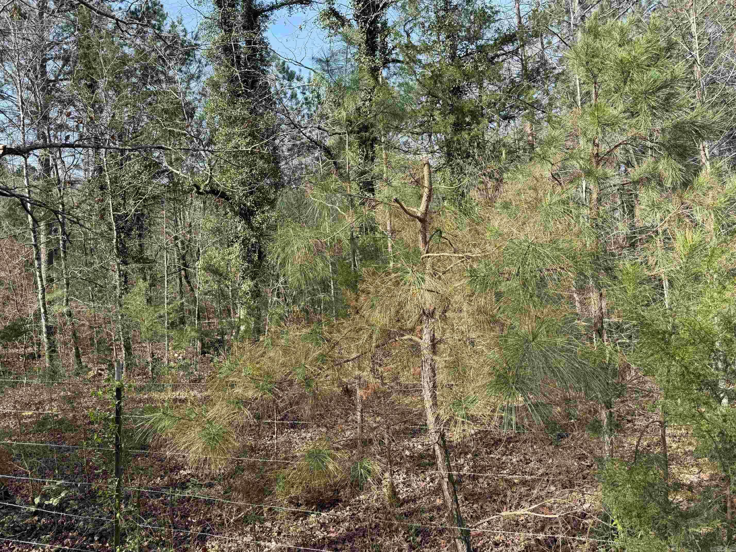 Metes & Bounds - Land