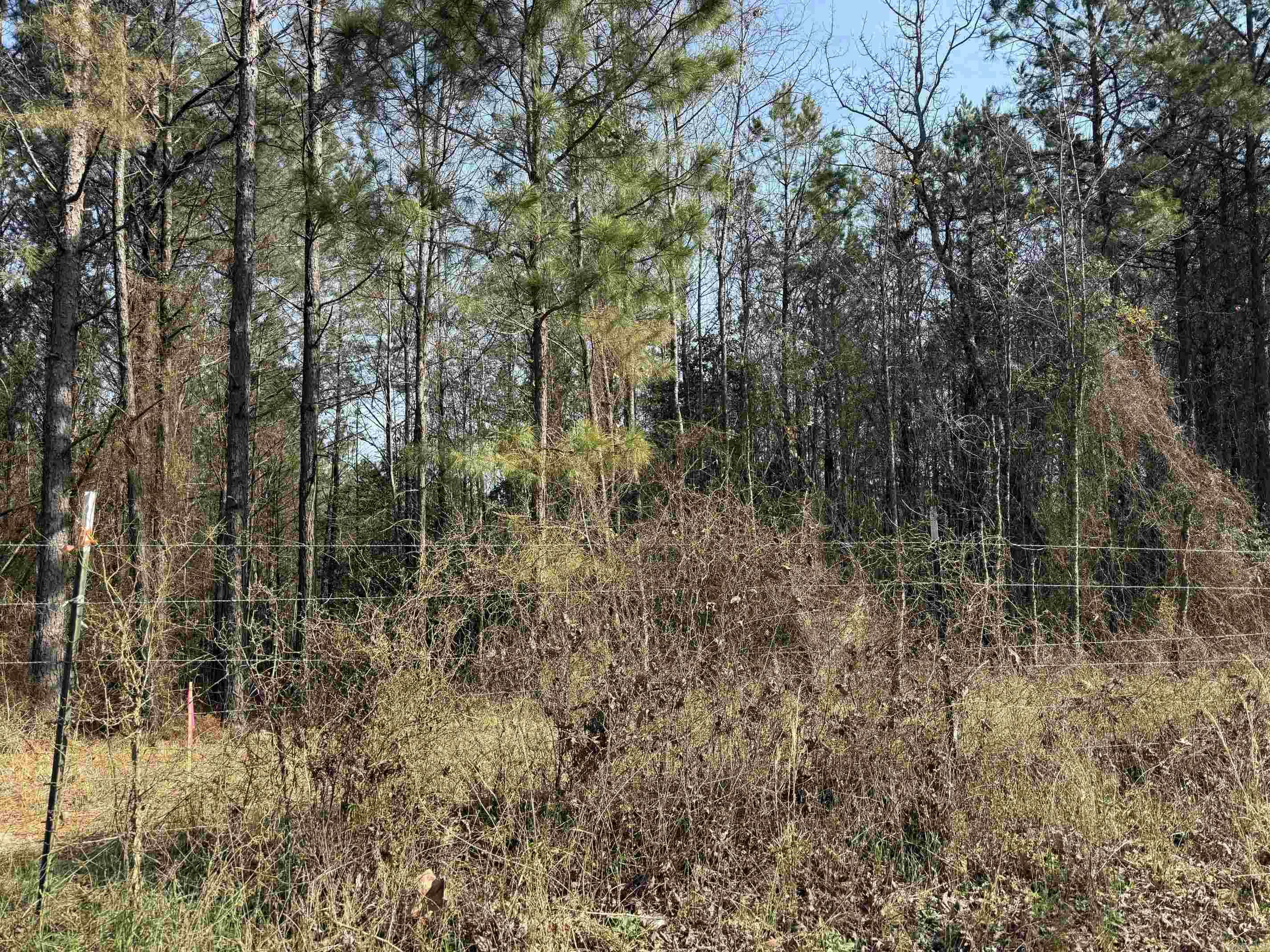 Metes & Bounds - Land