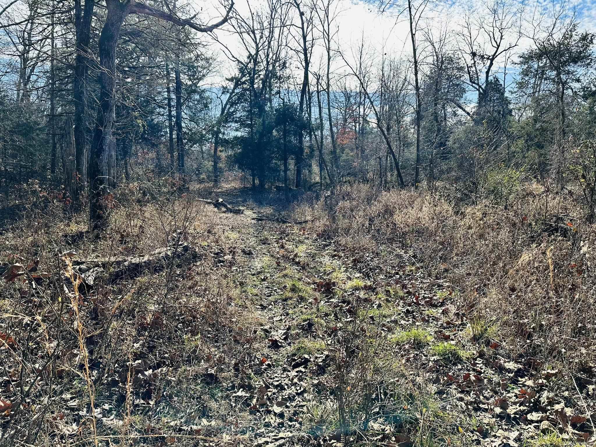 Metes & Bounds - Farm