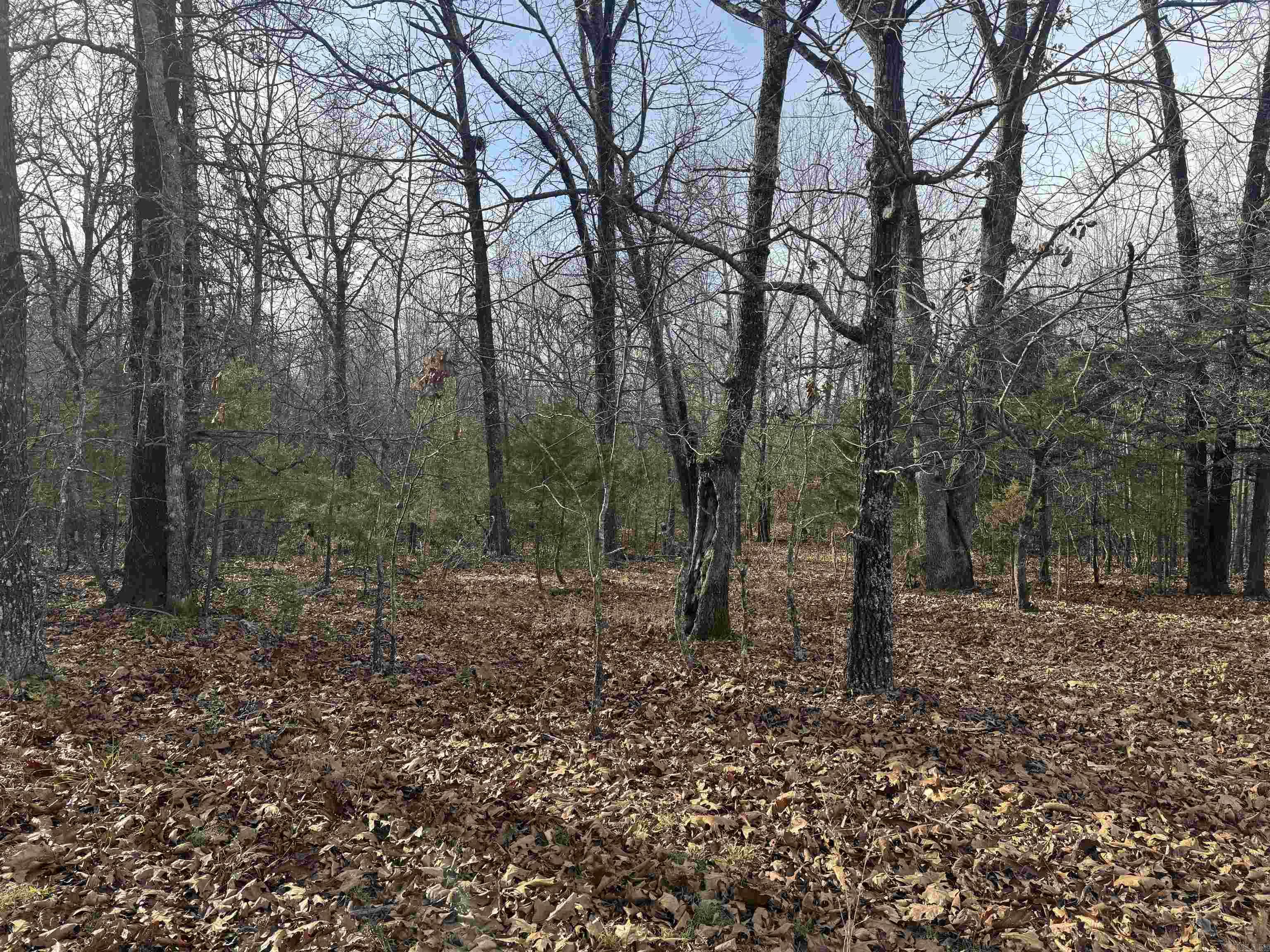 Not in Subdivision - Land