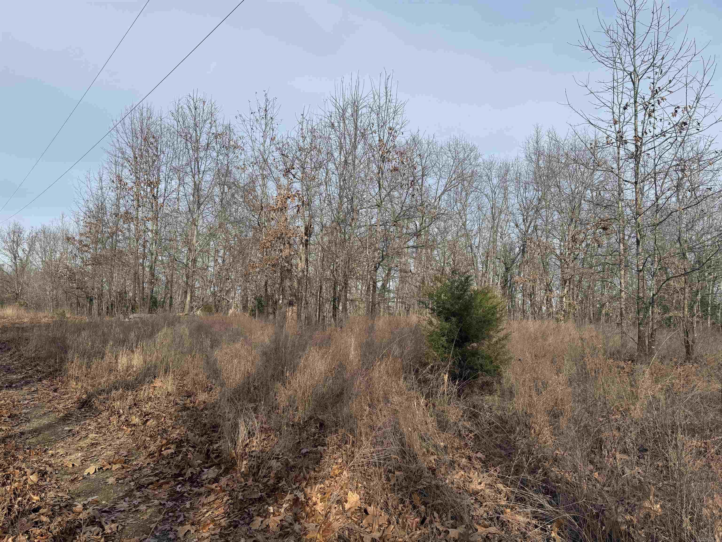 Not in Subdivision - Land