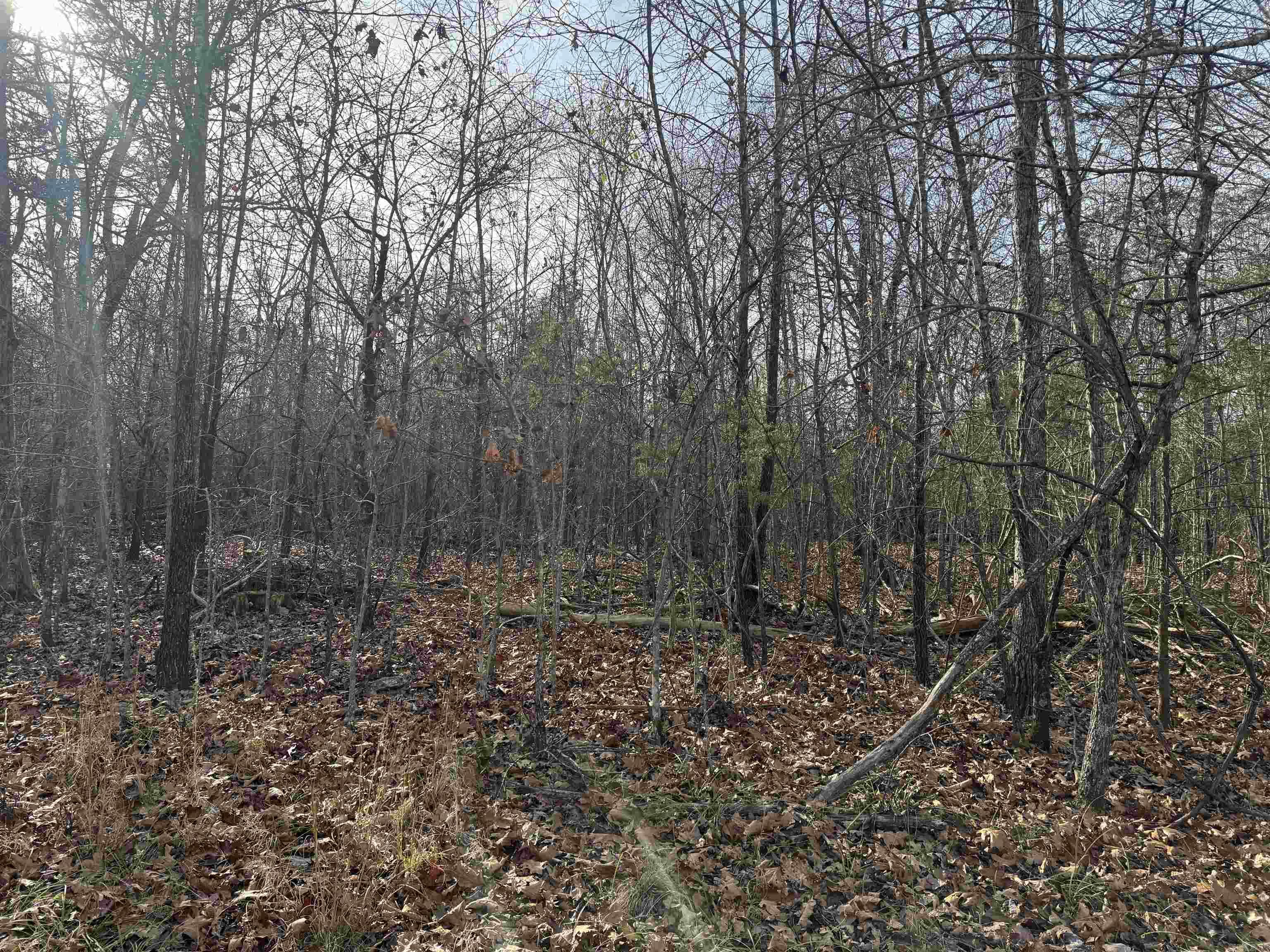 Not in Subdivision - Land