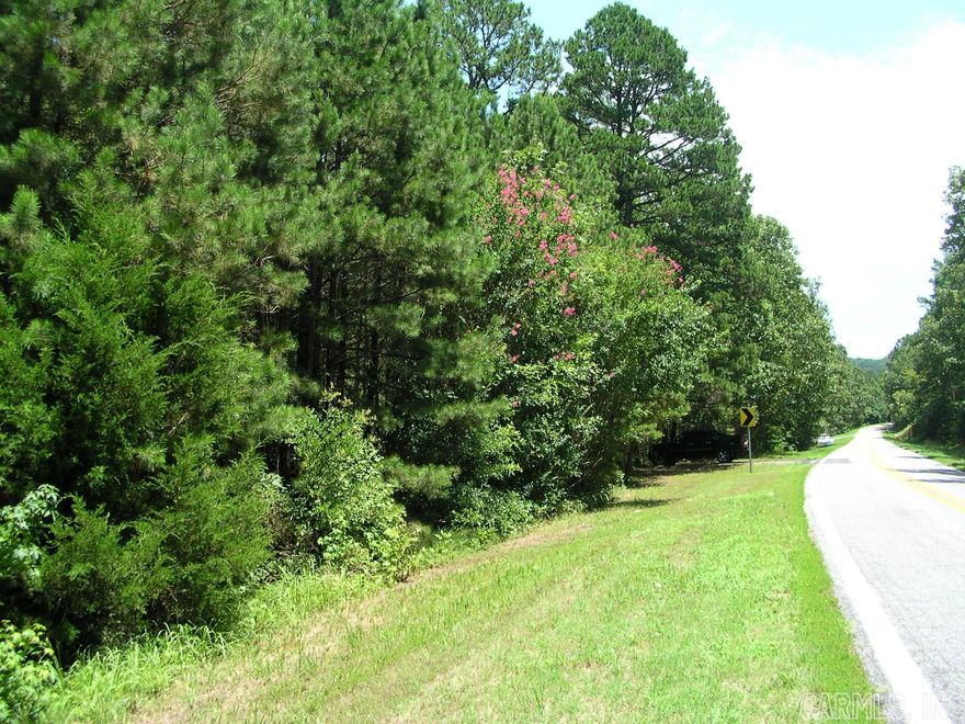 BEAUTIFUL TWO ACRES AT THE FOOT OF PETIT JEAN MOUNTAIN !!! HIGHWAY FRONTAGE WITH ALL UTILITIES ALREADY ON THIS PROPERTY IN CASA !!!  This beautiful 2 acres is located in Casa and is adjacent to the National Forest.  Heavily wooded with well on property and all utilities. Has highway frontage with lovely tall crepe myrtles all along the front fence line.  Nice property to build your new dream home, new Modular home or you could even put an RV/Camper.  "NO RESTRICTIONS" on this property. Makes for a nice getaway place to take your family to camp out and enjoy all the activities up on PETIT JEAN MOUNTAIN. Very close to PETIT JEAN RIVER which actually runs behind this property. New survey on this property.  Very private !!!
