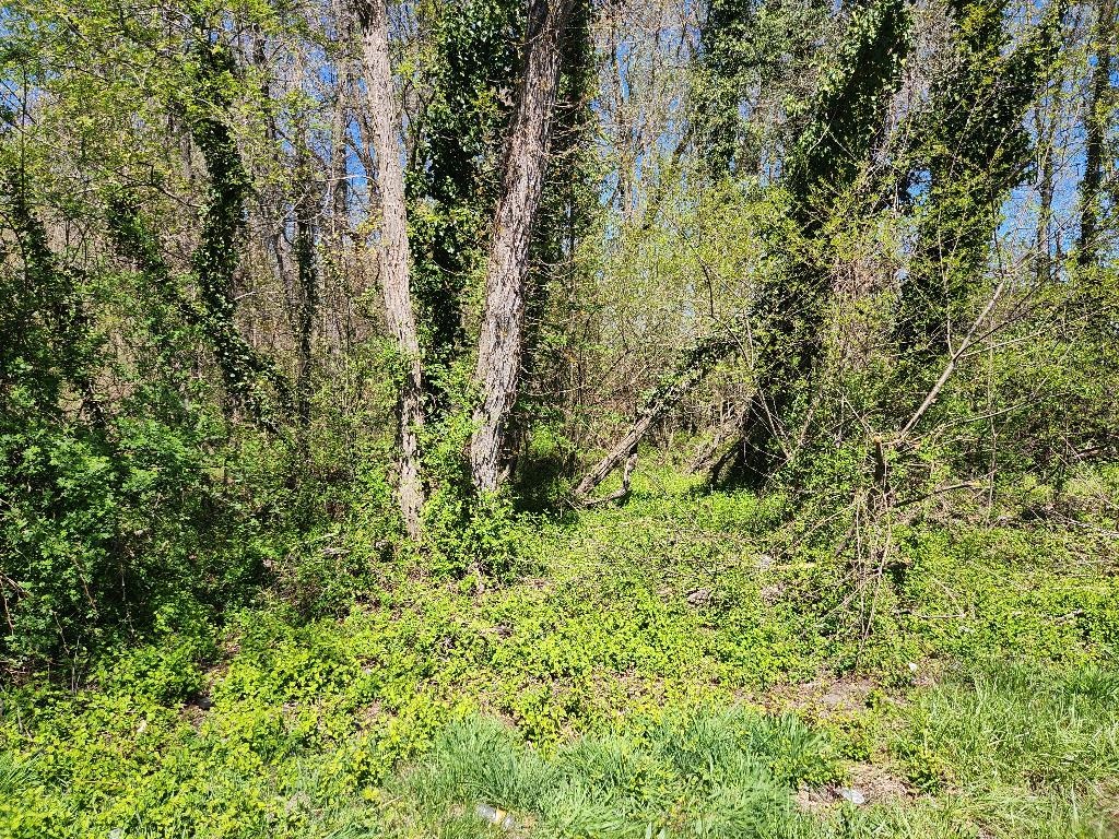 .26 of an acre corner lot. Utilities are at the street. It's located in an up and coming area. Nice location to access the interstate