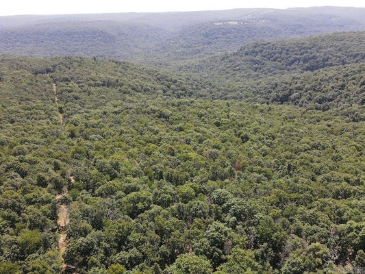 ADDRESS PRIVATE, GREEN FOREST, AR 72638 - Image 874ec3cce3ababe7a26df7cb57df95a4/1020063864