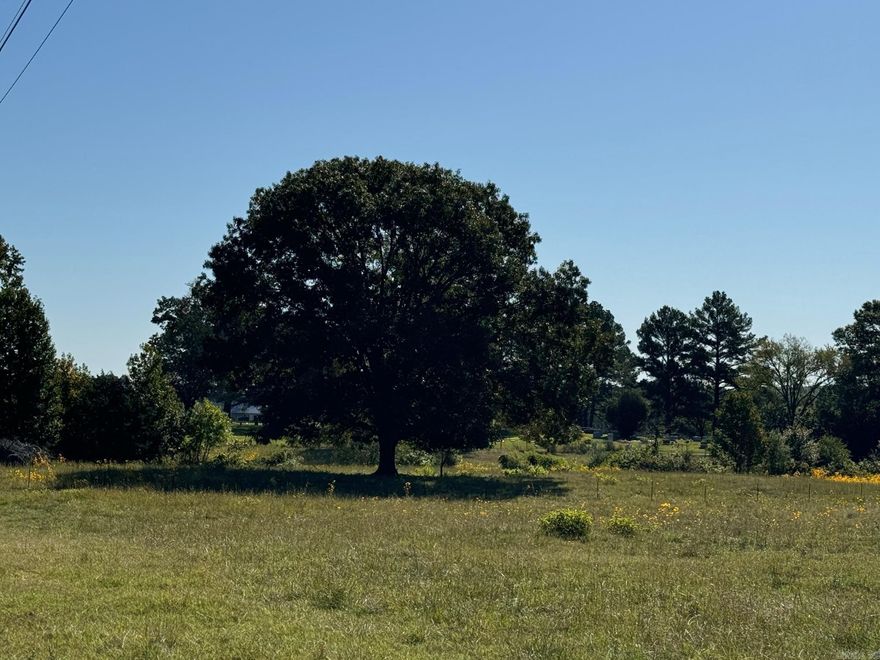 Beautiful 10-Acre Pasture Land! Discover the perfect opportunity to own 10 acres of pasture land, ideal for your horses, cows, or the dream home you've always wanted.  This property features: Natural Water Sources: Enjoy the  pond and creek, providing an ideal environment for livestock. Water Meters: Equipped with a water meter for your convenience. Ready for Use: The property is already fenced and cross-fenced, making it ready for your animals or construction. Don't miss out on this incredible piece of land! Whether you're looking to start a farm or build your forever home, this property has it all.  Contact me today to schedule a viewing! Agents please see remarks.