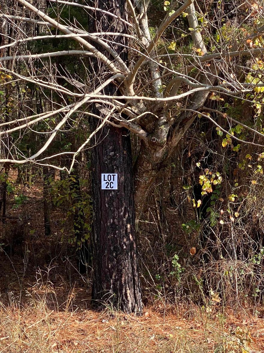 Lot 2C is an approx 10-Acres Lot located in Tract C.  Tract C begins on Hwy 89.  Acreage is wooded and fronts Hwy 89.  Lot 2C is 1 of 4 lots available for purchase in Tract C.  Grand Prairie Water and First Electric at Road.  Fantastic opportunity for a spacious home place, duplexes, triplexes, and/or quadplexes.  Take a drive out to see this lot or the other lots listed.   See Agent Remarks.