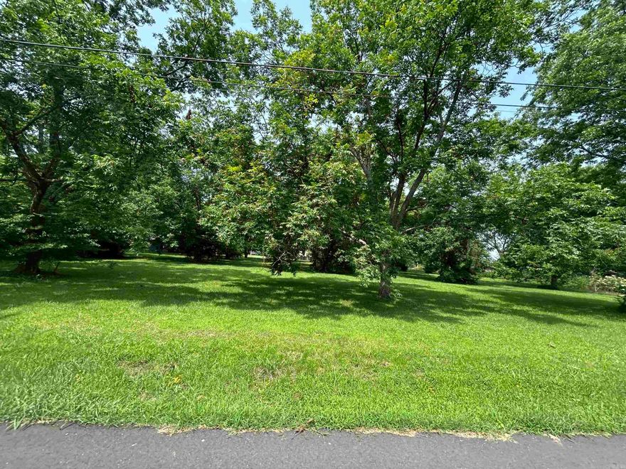 Have you been considering building a home in Stuttgart, or maybe investing in a lot to develop a residential property? This may be the one for you! This Lot will be offered alongside 8 others in Block L of the Crescent Hill Subdivision. Each lot is home to one or more beautiful, mature pecan tree(s) and utilities are conveniently available at the street. The property has been recently surveyed and is waiting for you to bring your vision to life!