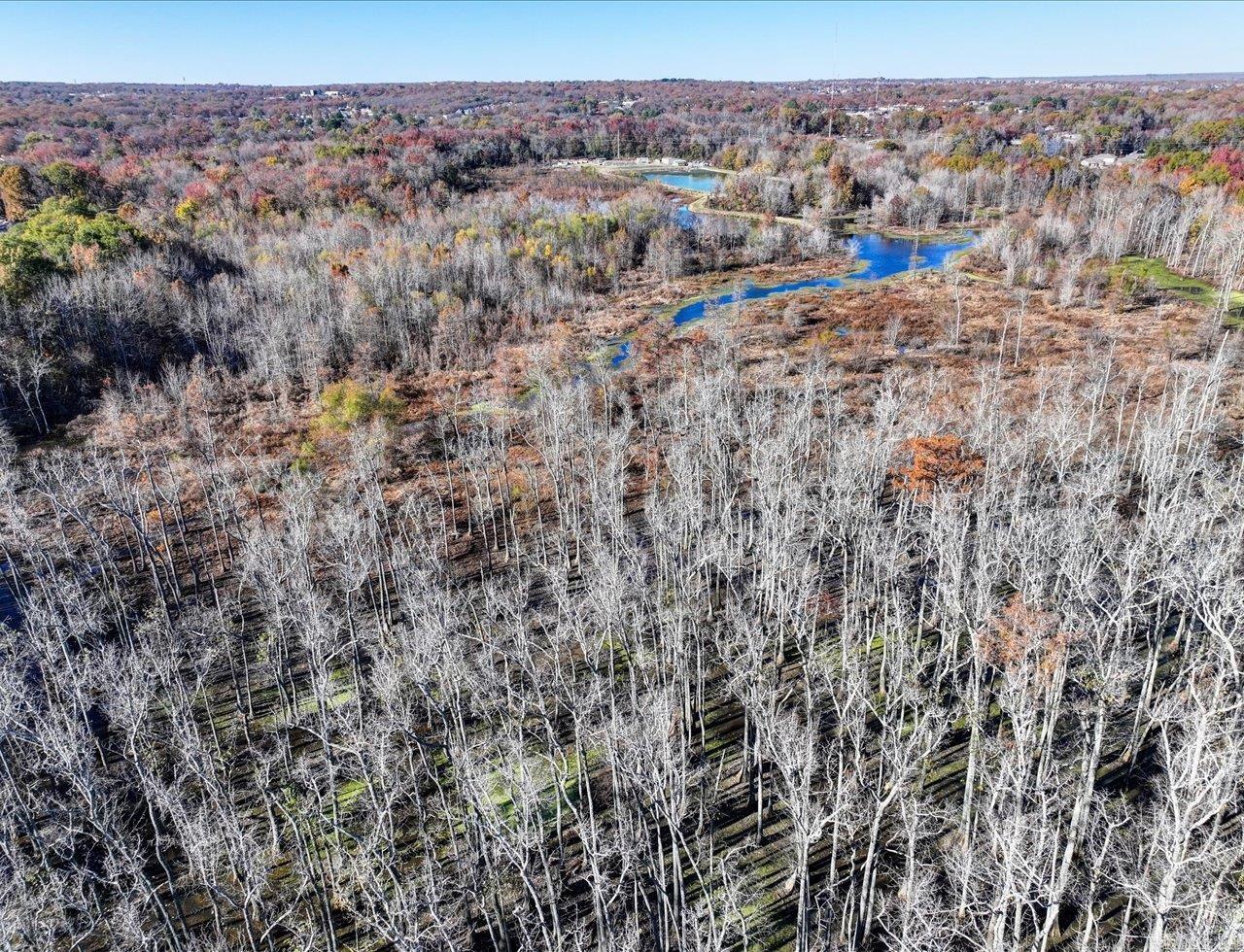 Wild Wood - Commercial Sale