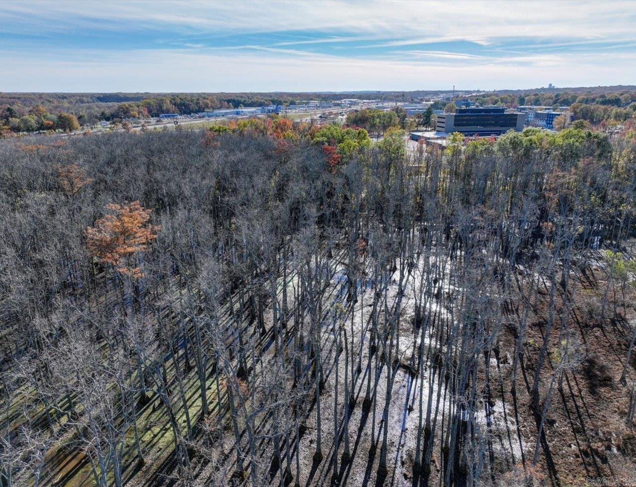 Wild Wood - Commercial Sale