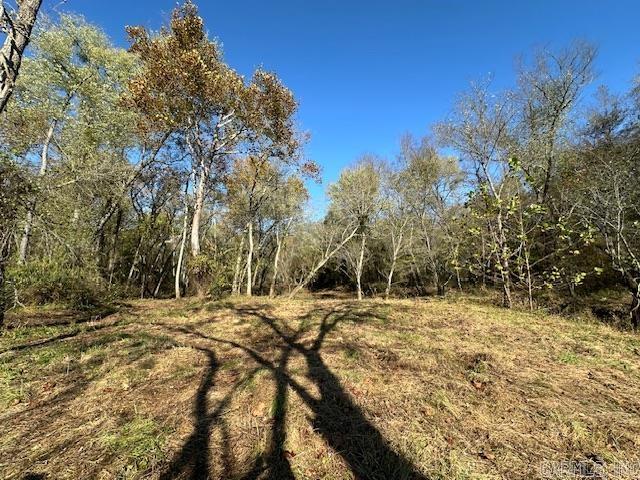 Mossy Shoals Resort II - Land