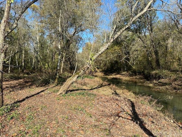 Mossy Shoals Resort II - Land