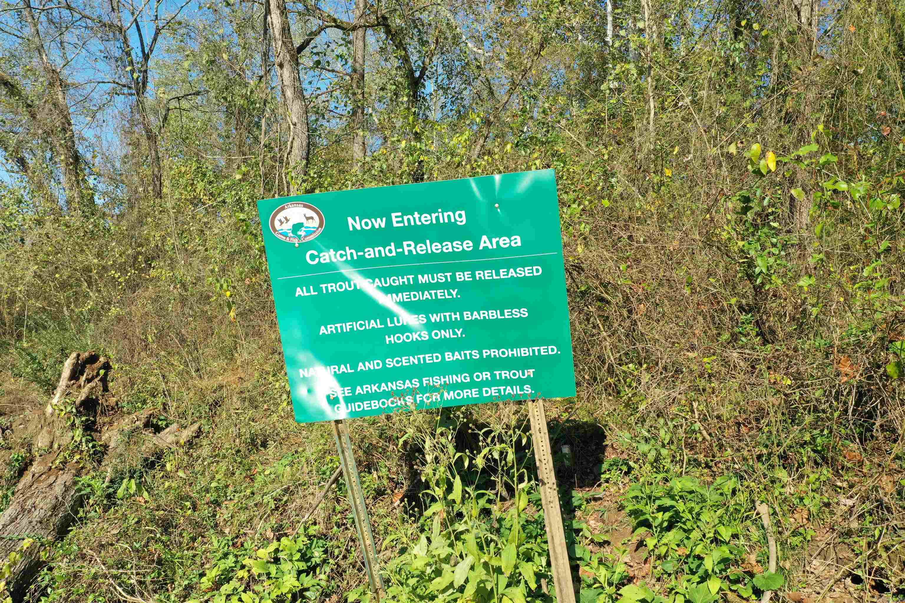 Mossy Shoals Resort II - Land