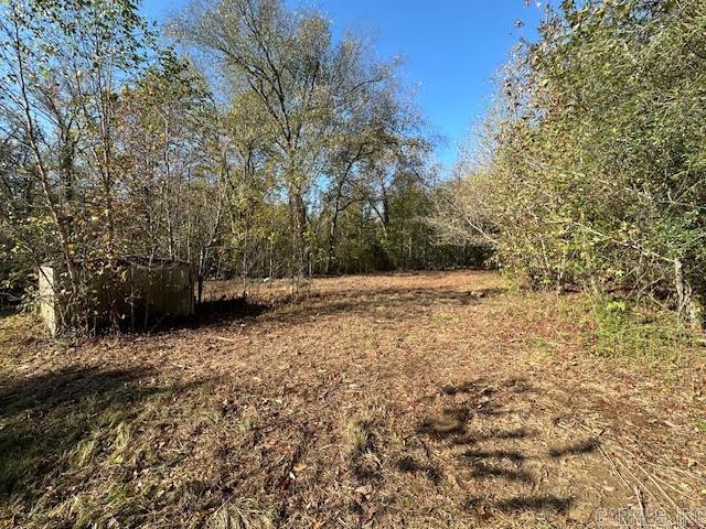 Mossy Shoals Resort II - Land