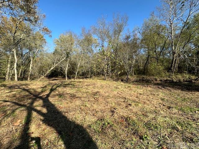 Mossy Shoals Resort II - Land