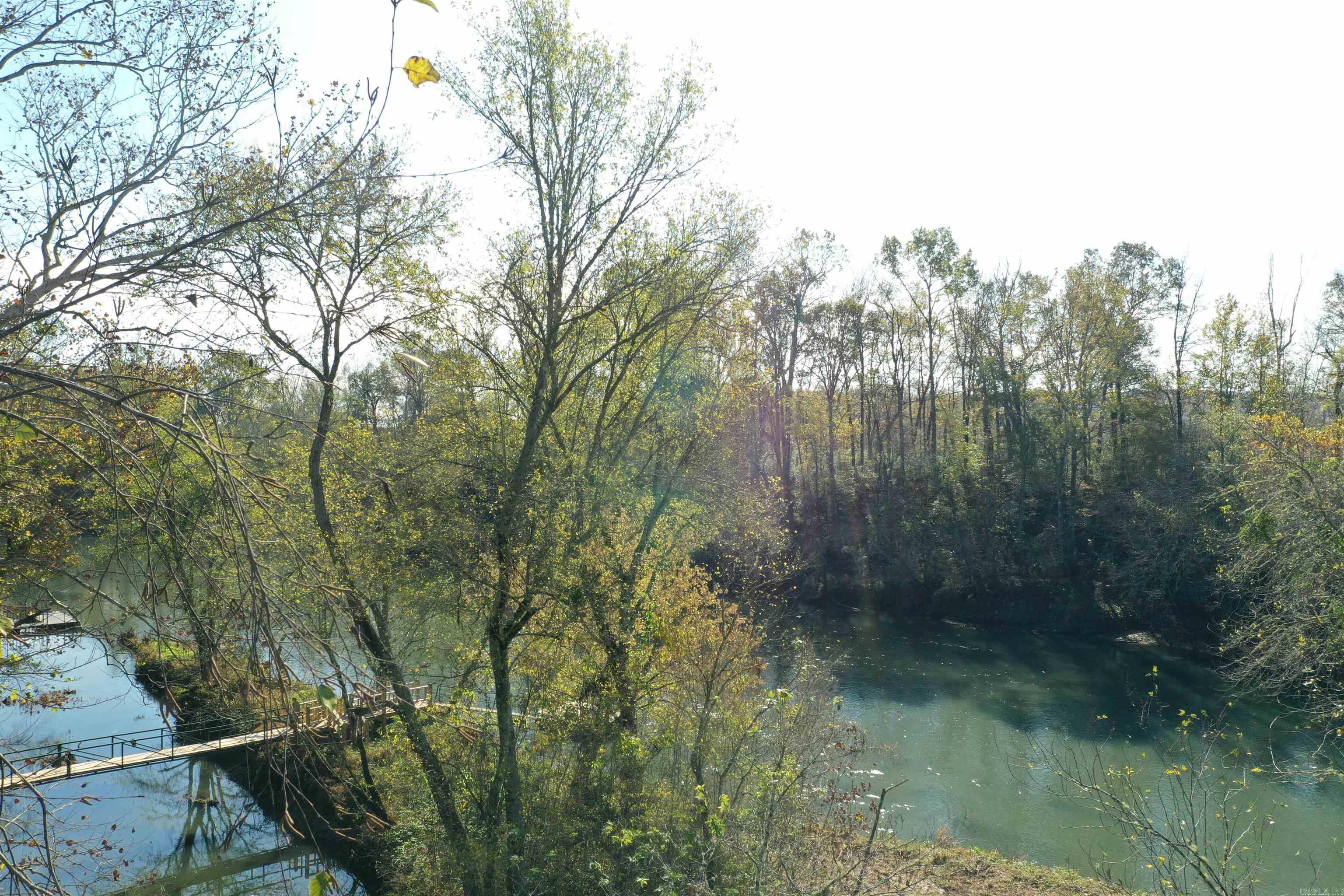 Mossy Shoals Resort II - Land