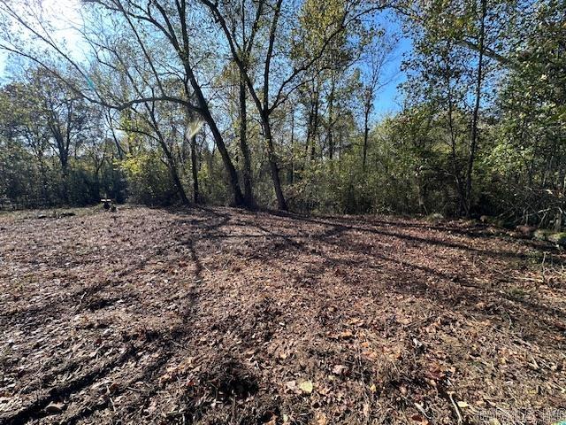 Mossy Shoals Resort II - Land