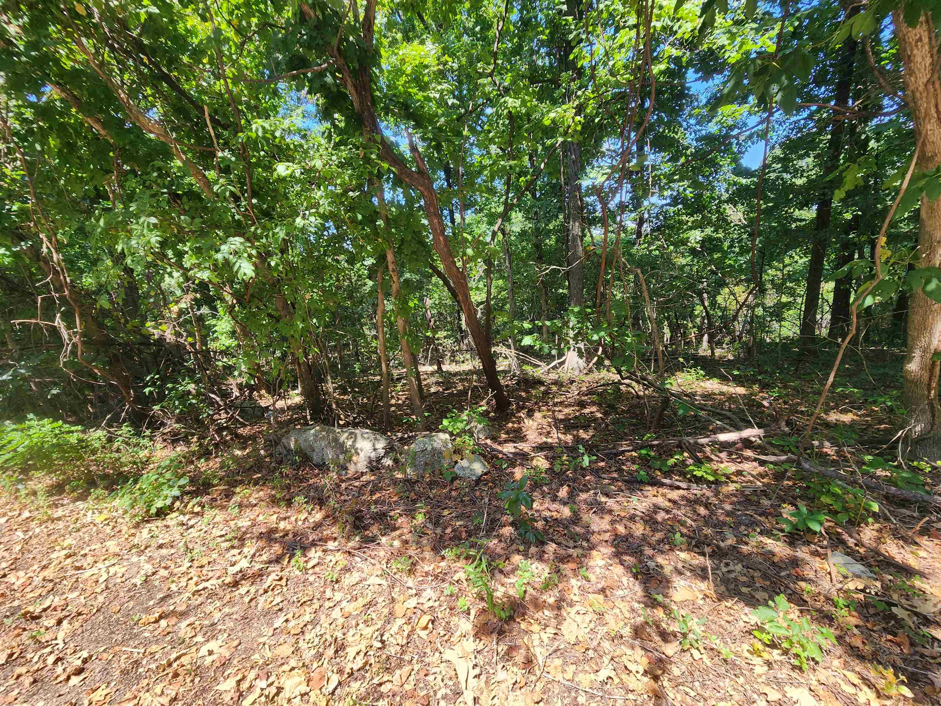 This is a must-see lot located as close to the South golf course as you can get without actually living on the golf course. No immediate neighbors. A great place to build your forever home or just a nice cabin or vacation home. Nicely sloping from front to back this lot is wooded and undeveloped just waiting on you to come make it yours. Don't forget that with ownership of this property you will have access to all the Cherokee Village amenities such as the two 18-hole golf courses, the 7 lakes and the beautiful Southfork river
