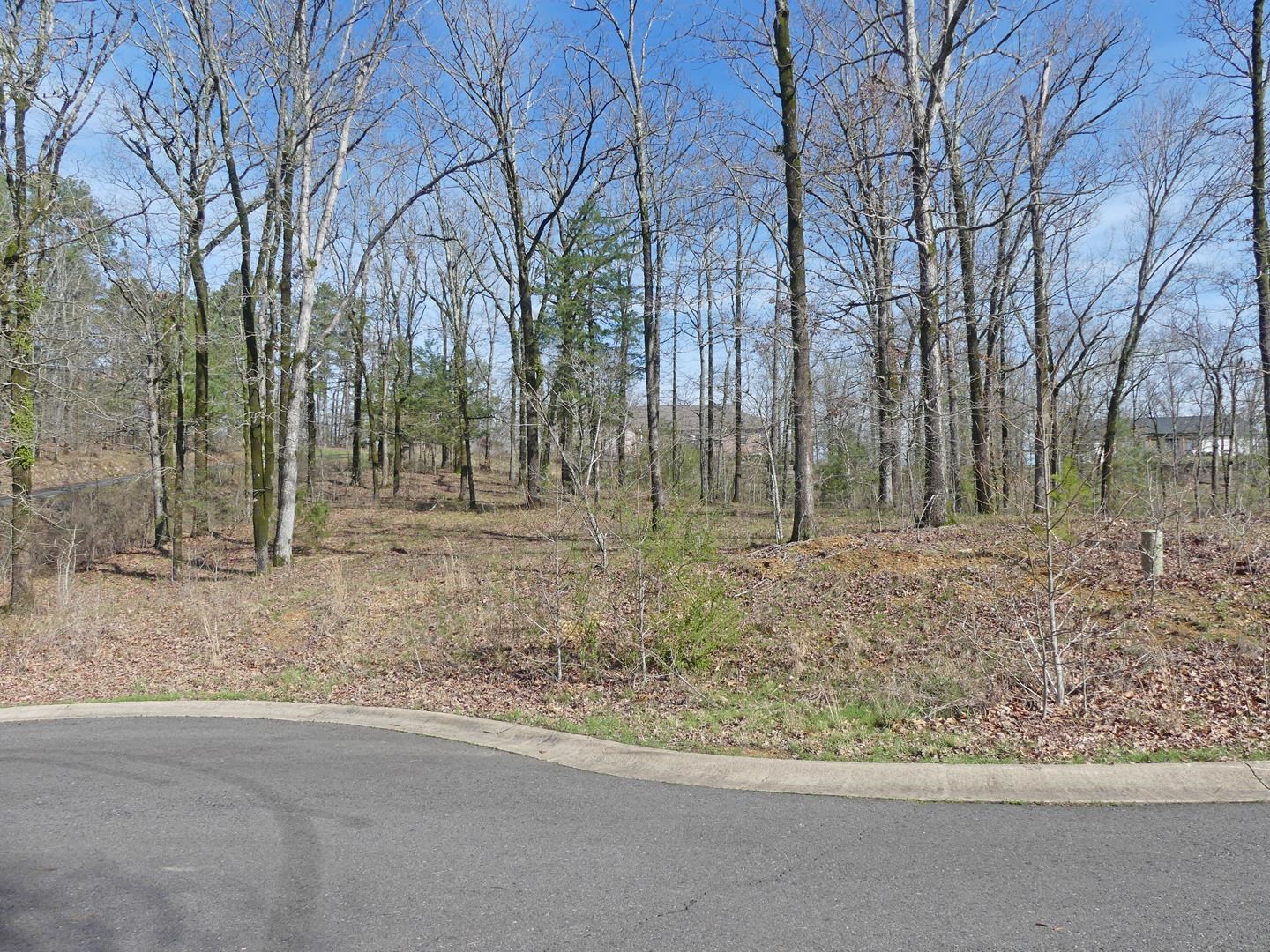 Nice building lot in LSSD