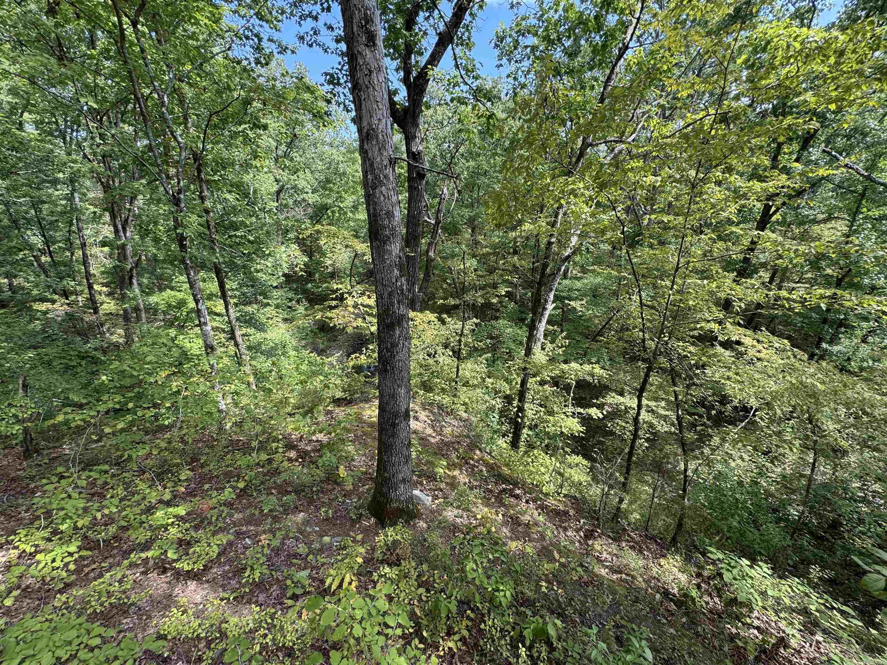 Donāt miss this exceptional opportunity in the Village! This rare double lot gently slopes from the road and opens up to an incredible bluff view of the creek belowātruly a one-of-a-kind setting. The dramatic elevation and natural beauty offer endless potential for a stunning new build. This property has to be seen in person to fully appreciate the view and possibilities. Priced to sellāthis one wonāt last!