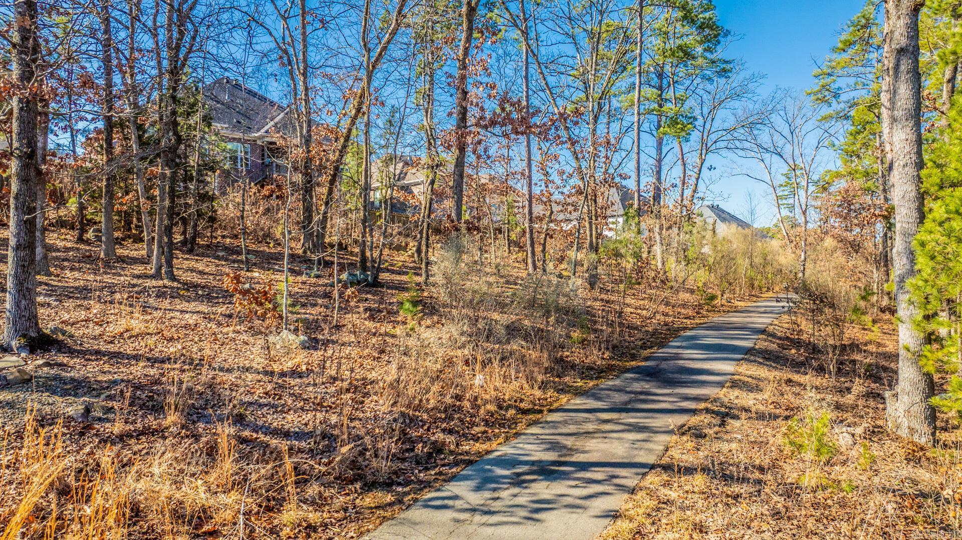 CHENAL VALLEY CAUREL COURT - Residential