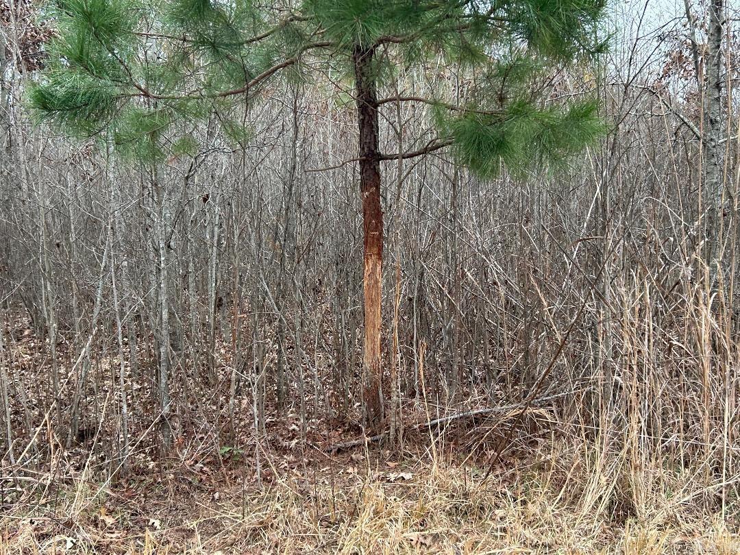 Metes & Bounds - Farm