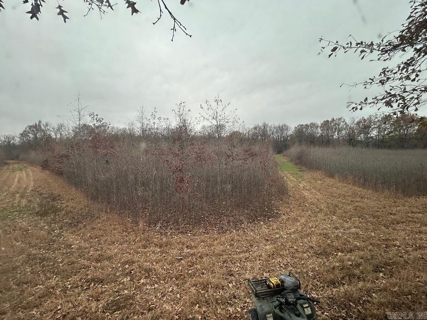 A true gem in the Arkansas Delta! 29.94 +/- Acres of picturesque recreational land well suited for hunting, recreation or investment. Approx 13 acres of the land is in CRP until 2032.  This is one you do not want to miss.