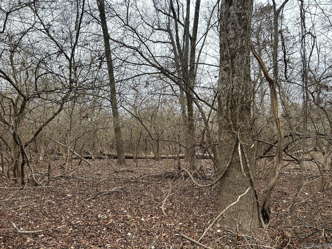 Metes & Bounds - Farm