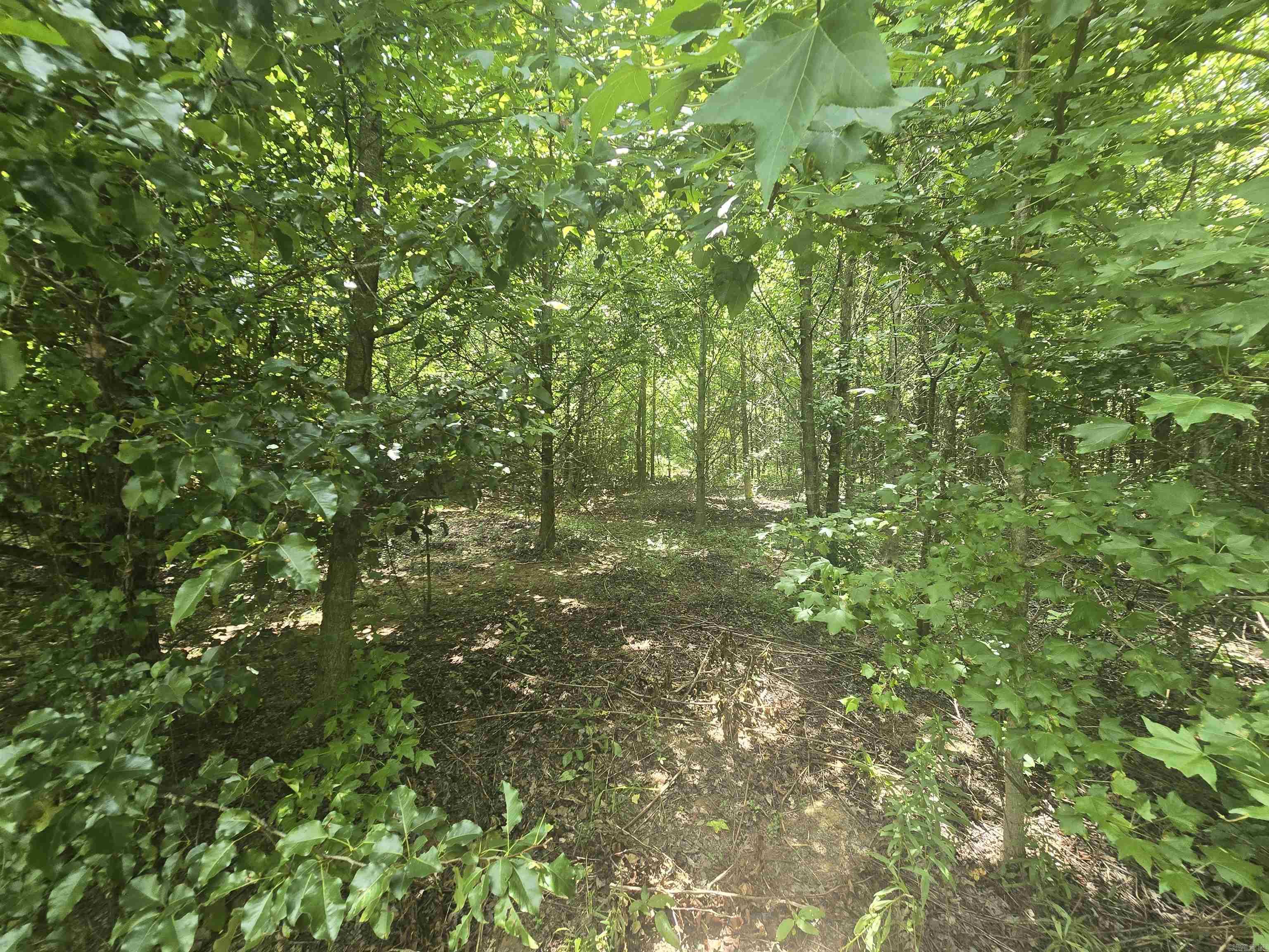 Copper Springs - Land