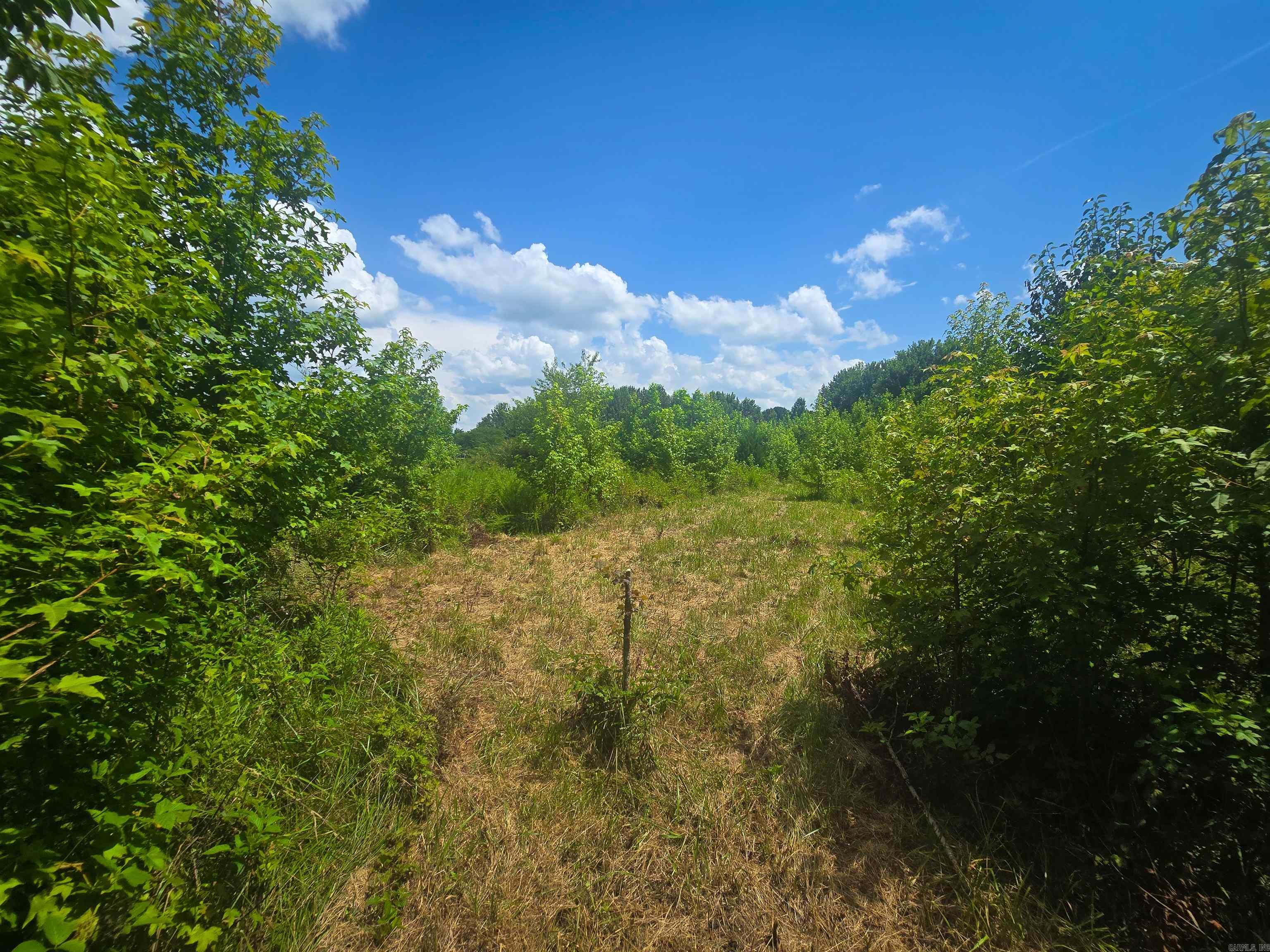 Copper Springs - Land