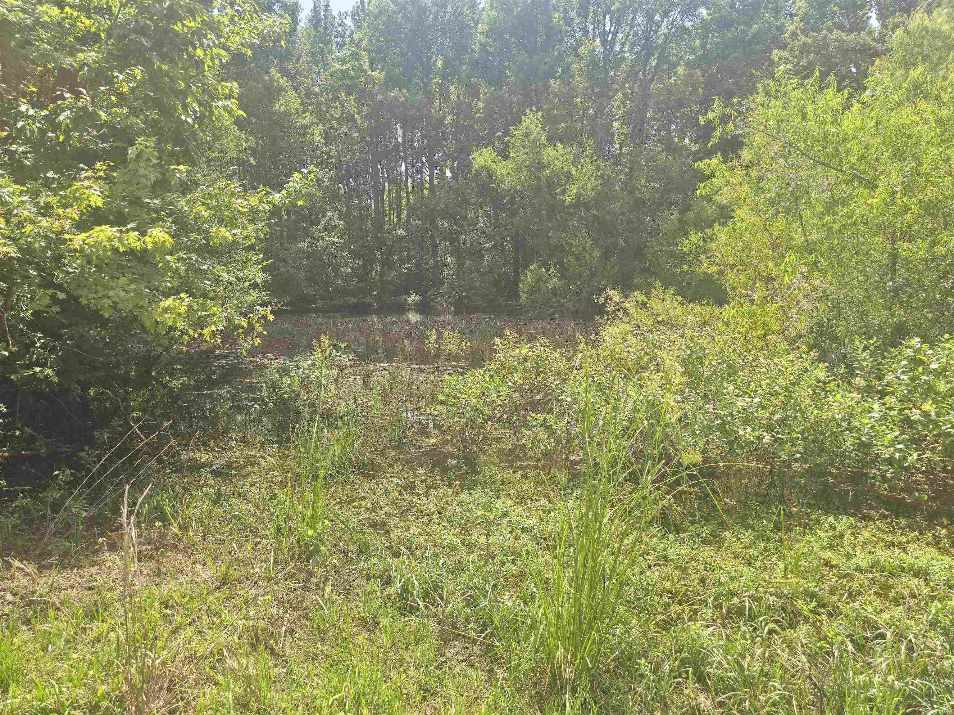 Copper Springs - Land