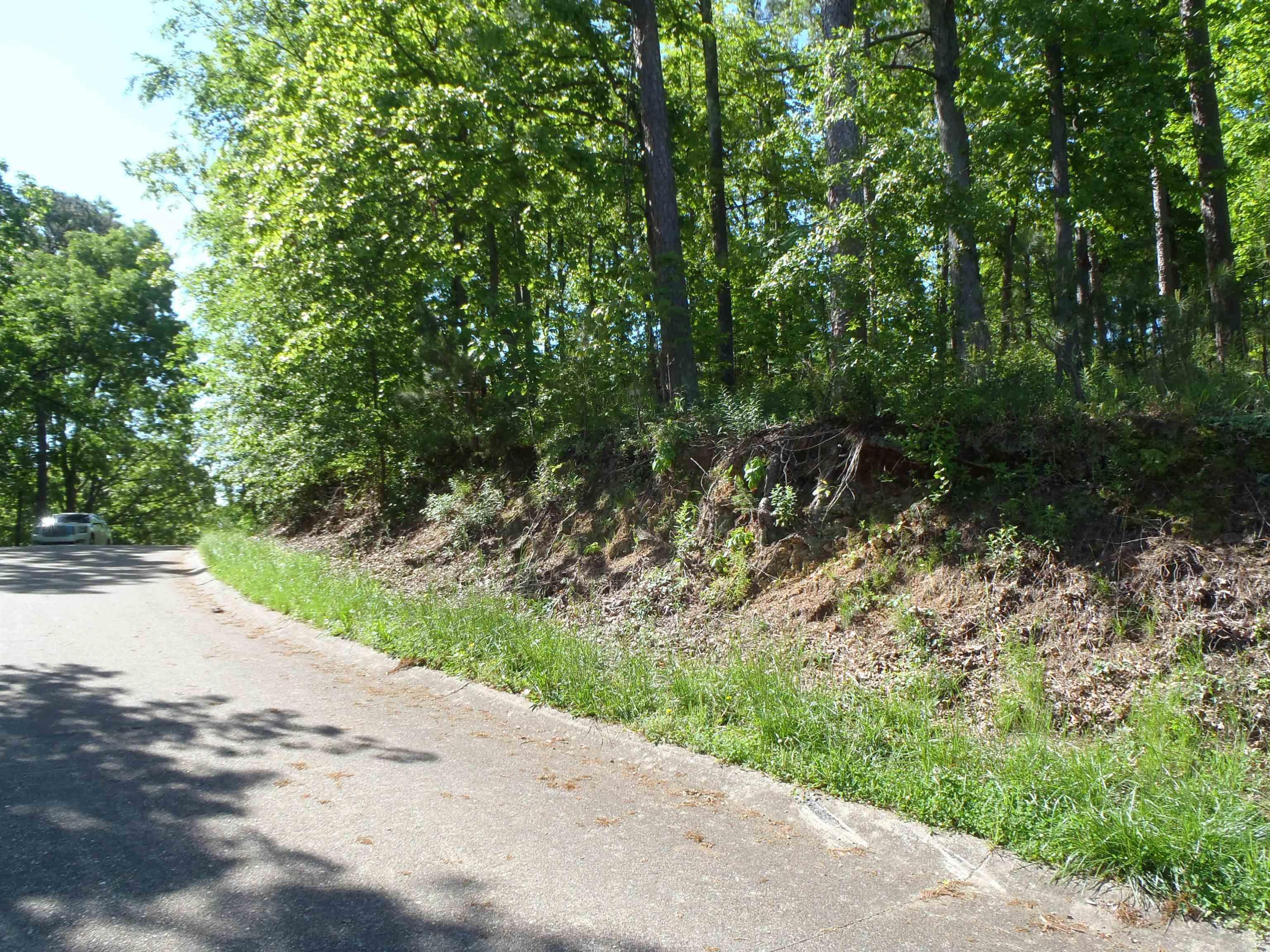 Driftwood Point - Land