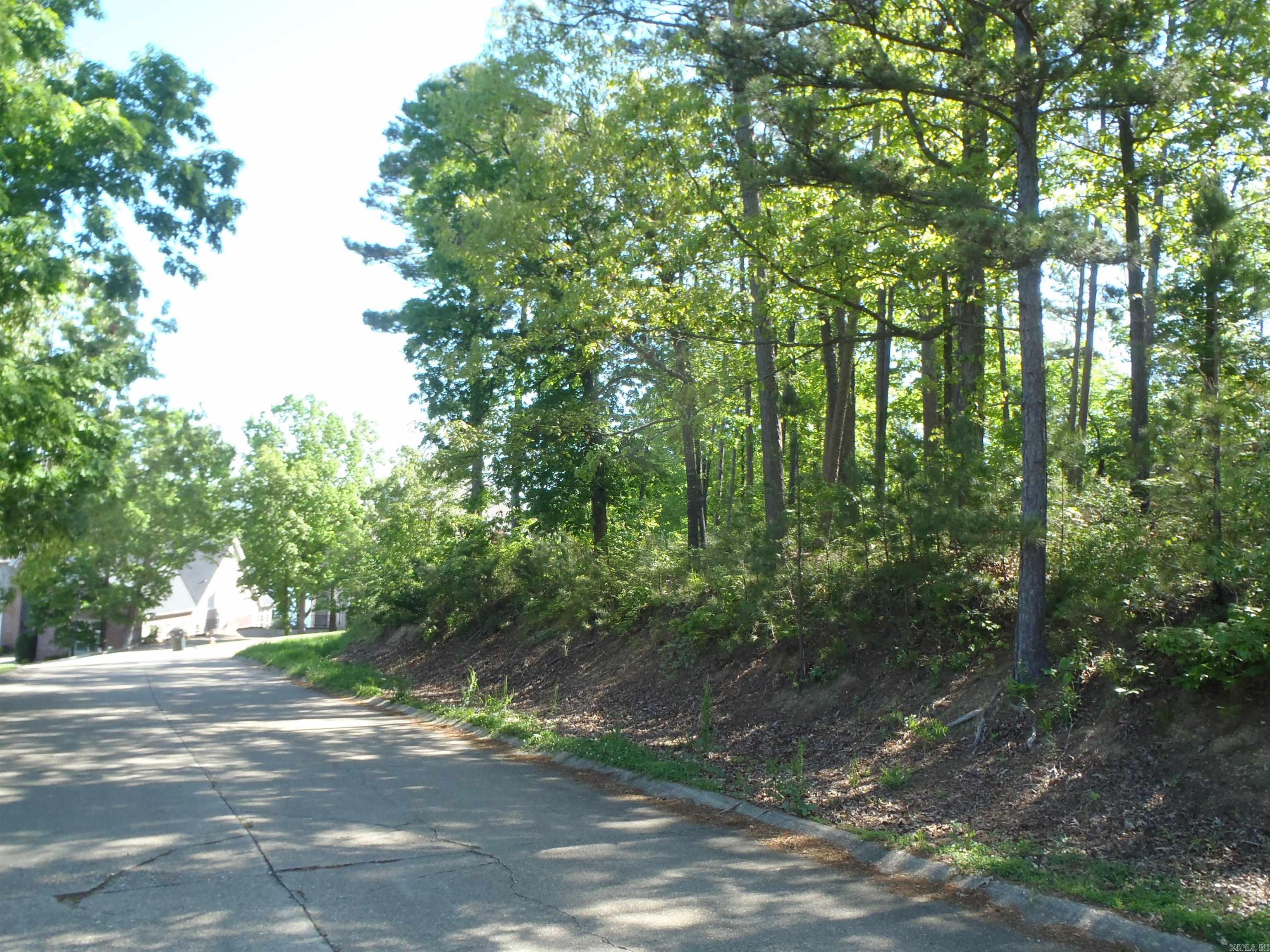 Driftwood Point - Land