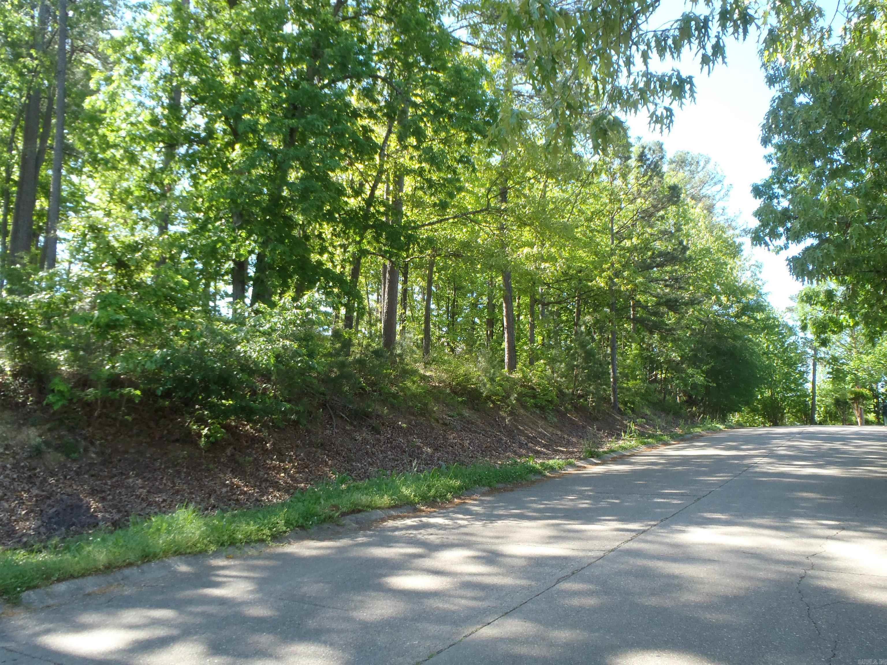 Driftwood Point - Land