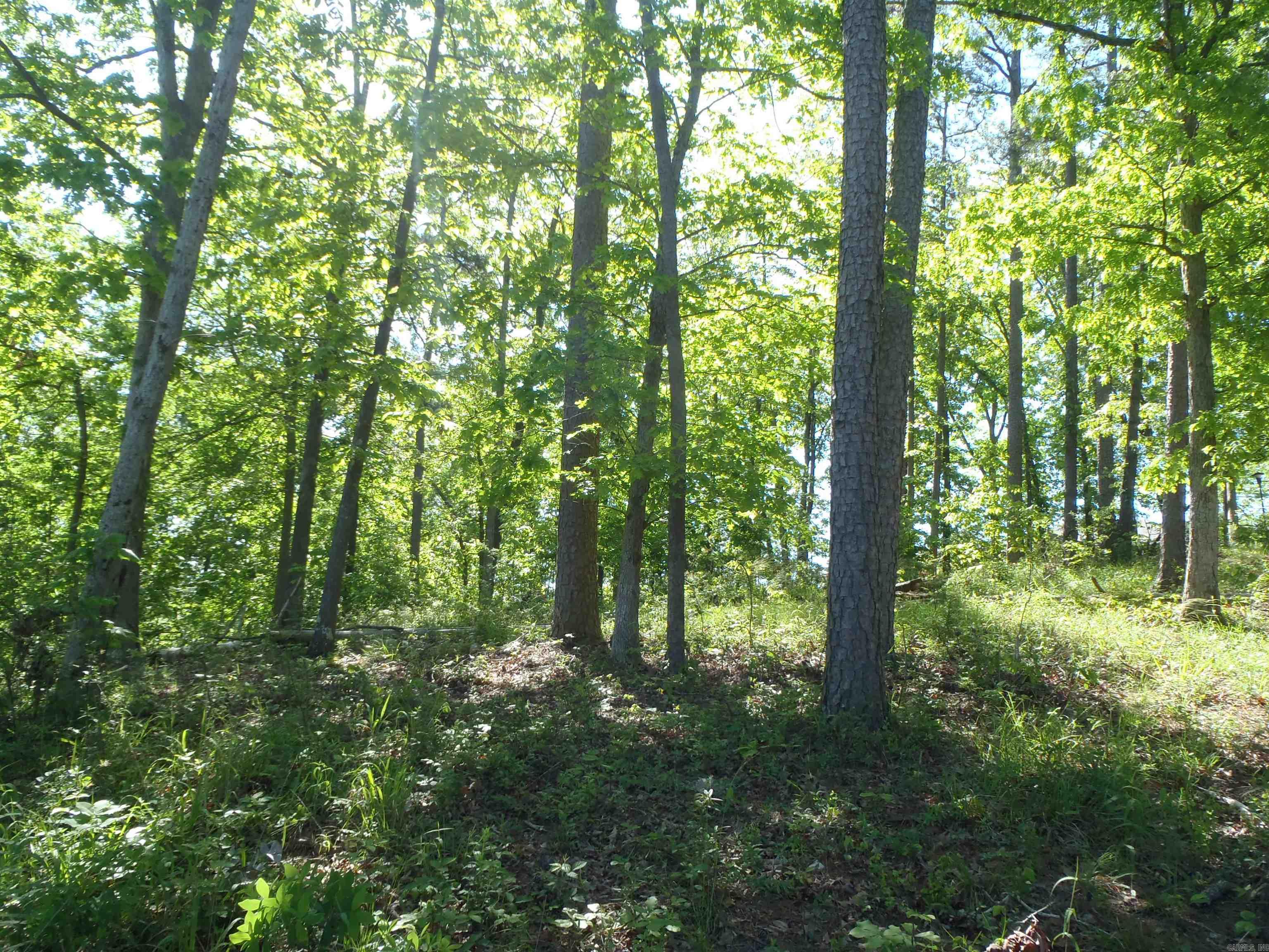 Driftwood Point - Land