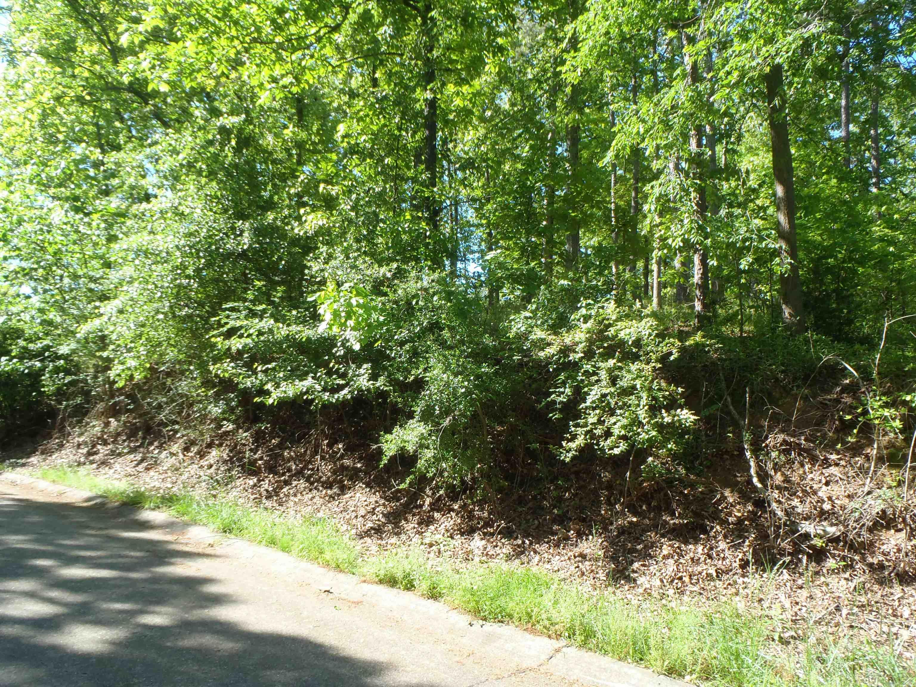 Driftwood Point - Land