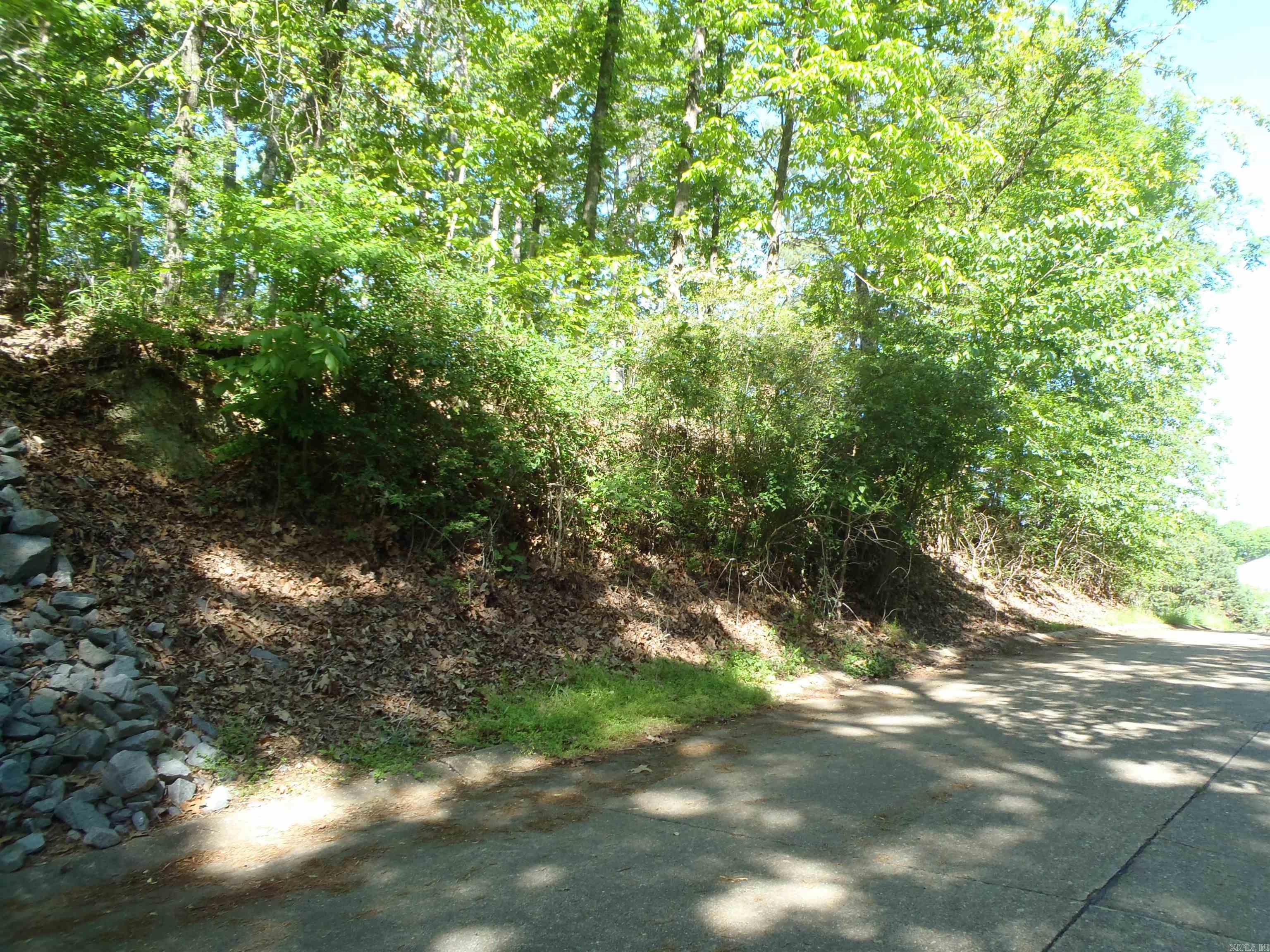 Driftwood Point - Land