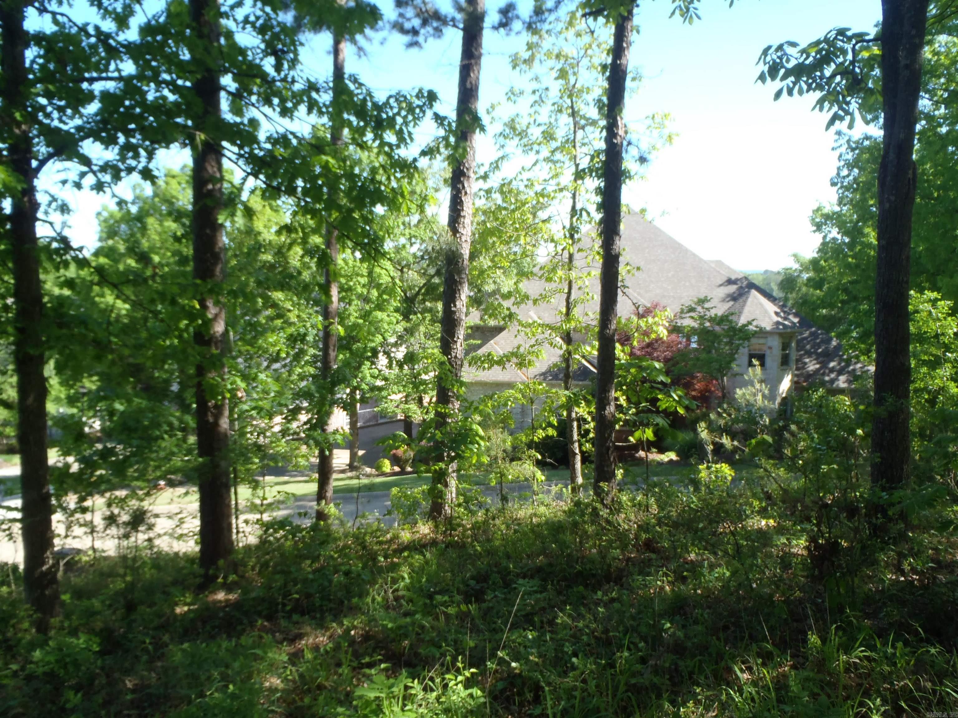 Driftwood Point - Land