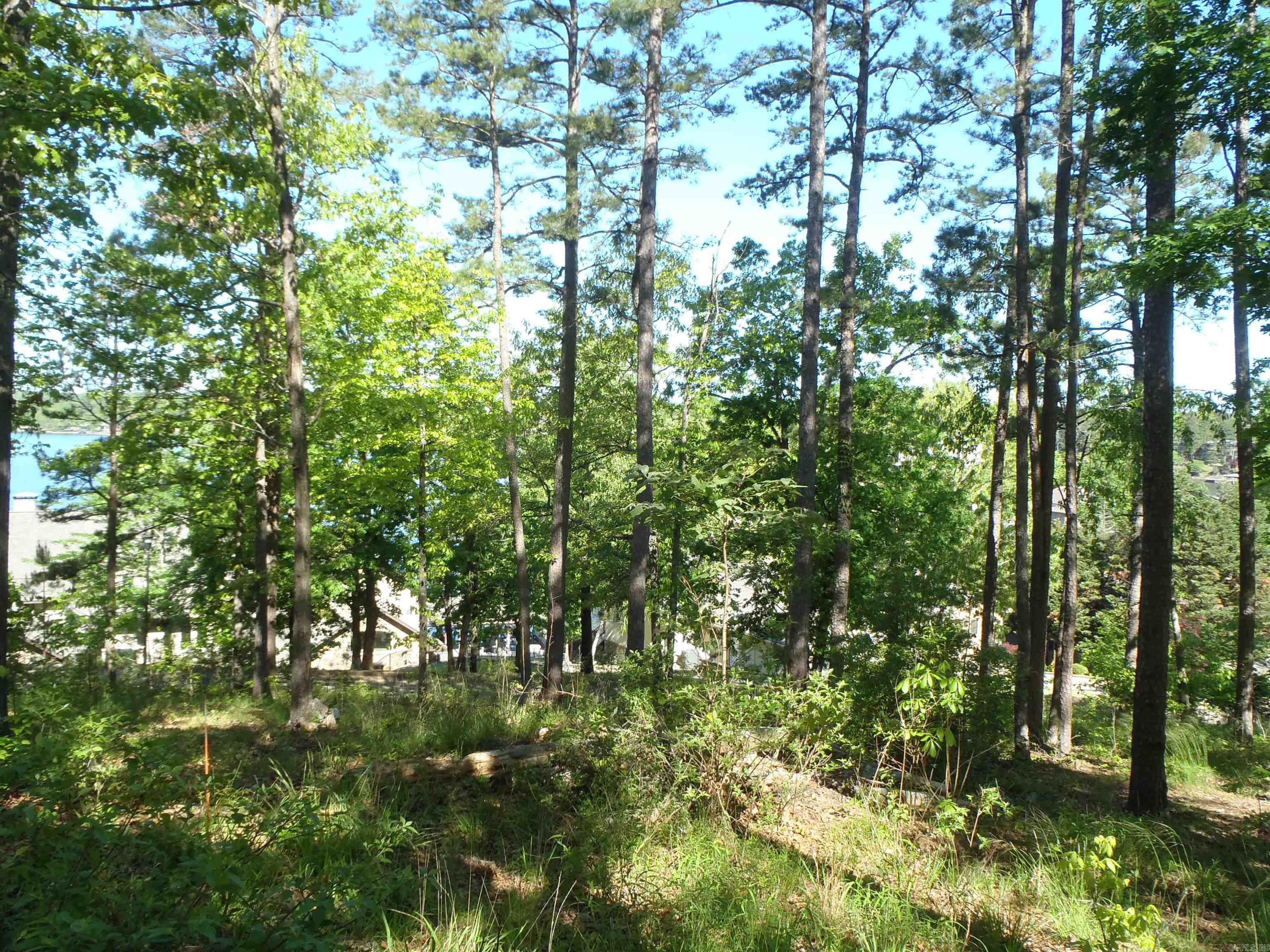 Driftwood Point - Land