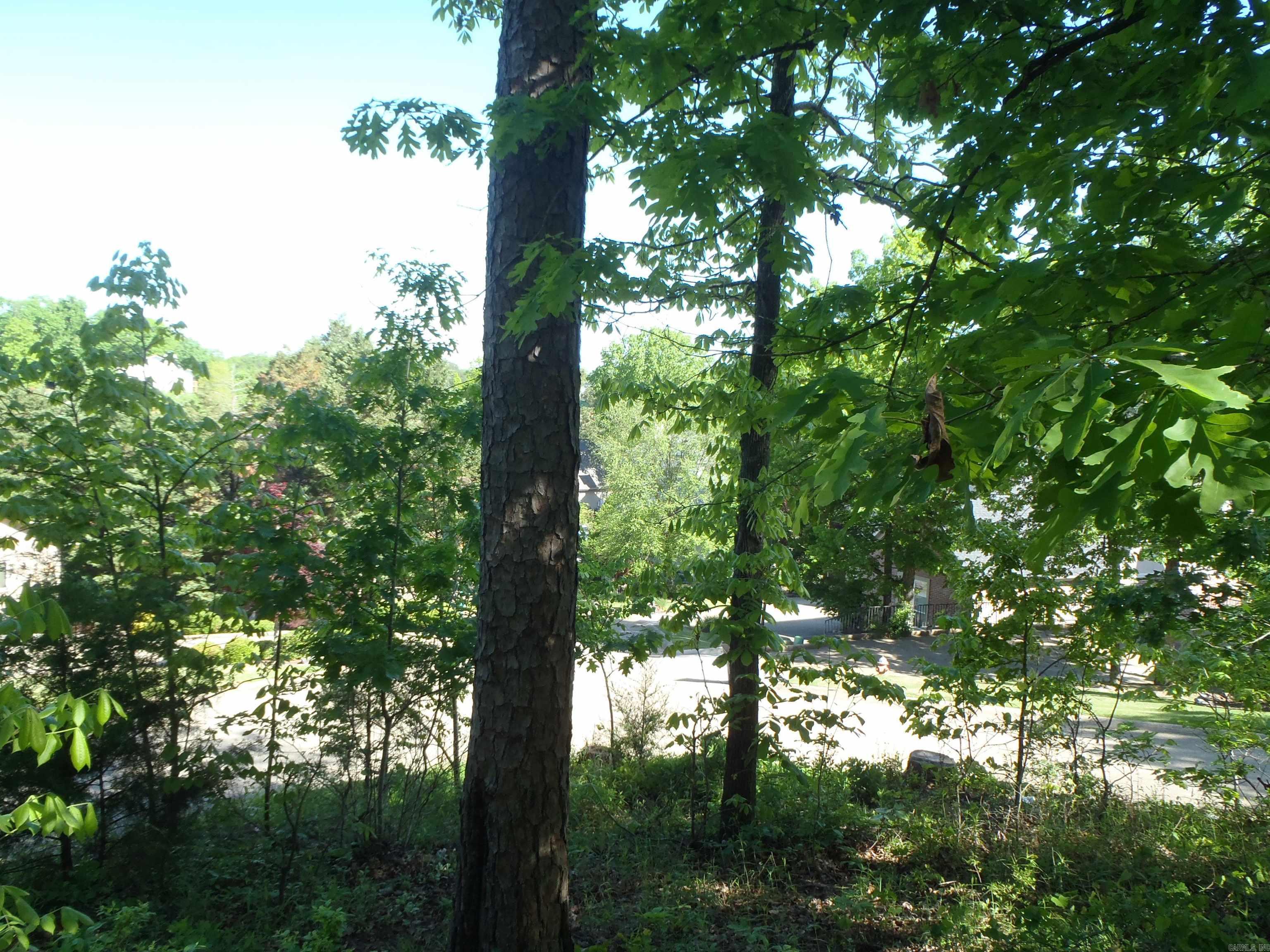 Driftwood Point - Land