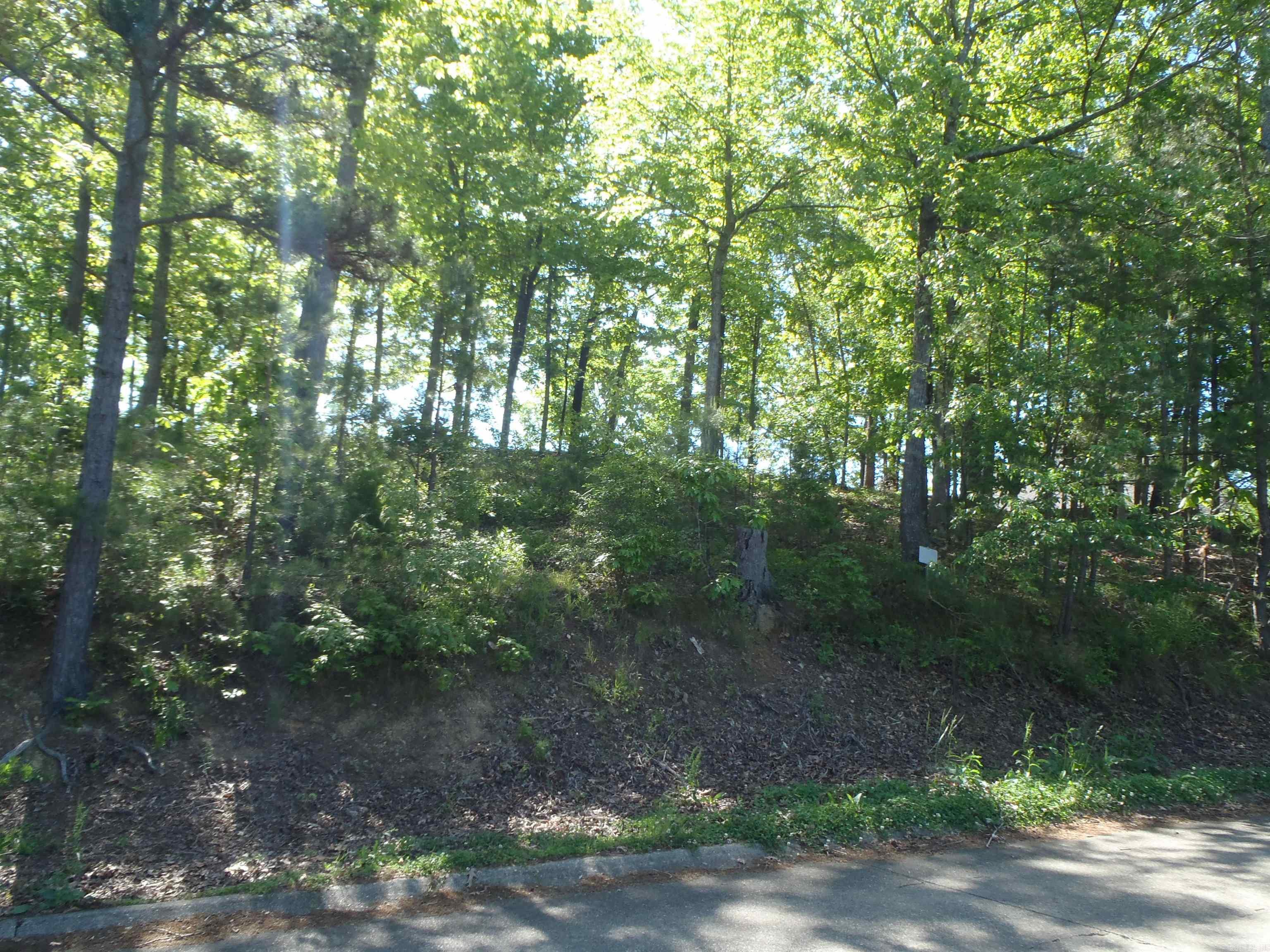 Driftwood Point - Land