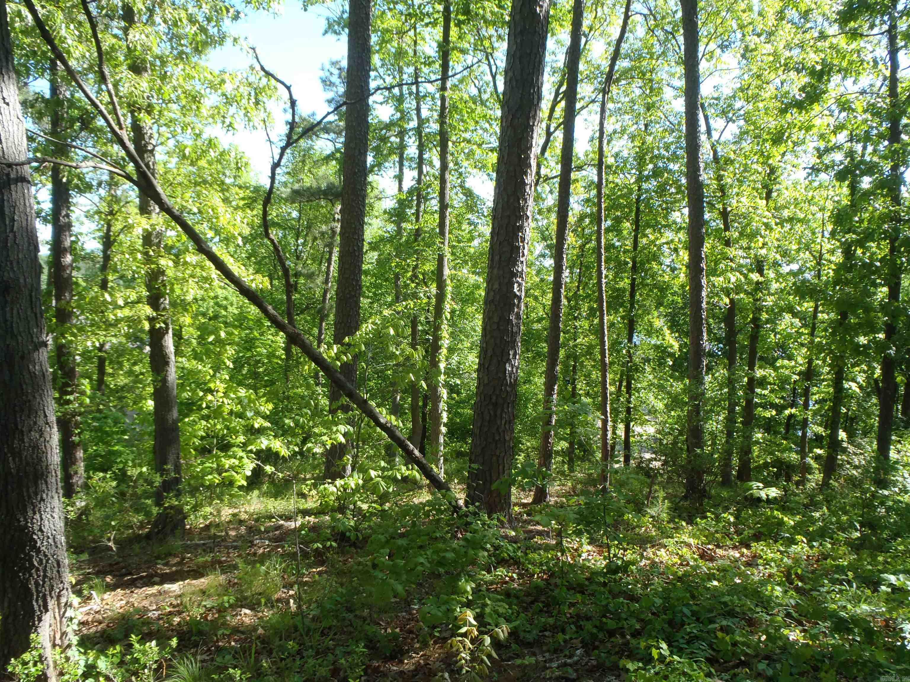 Driftwood Point - Land