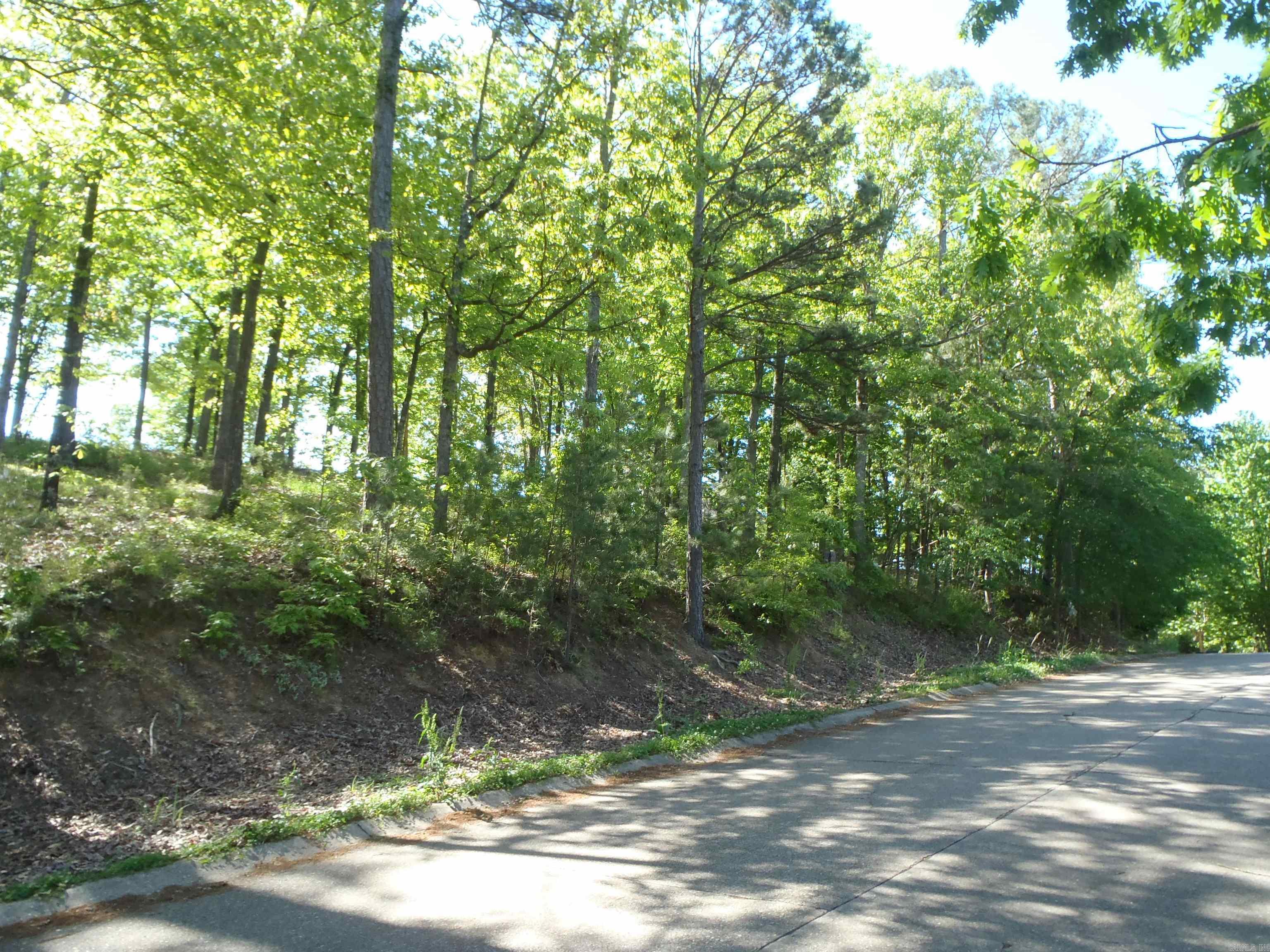 Driftwood Point - Land