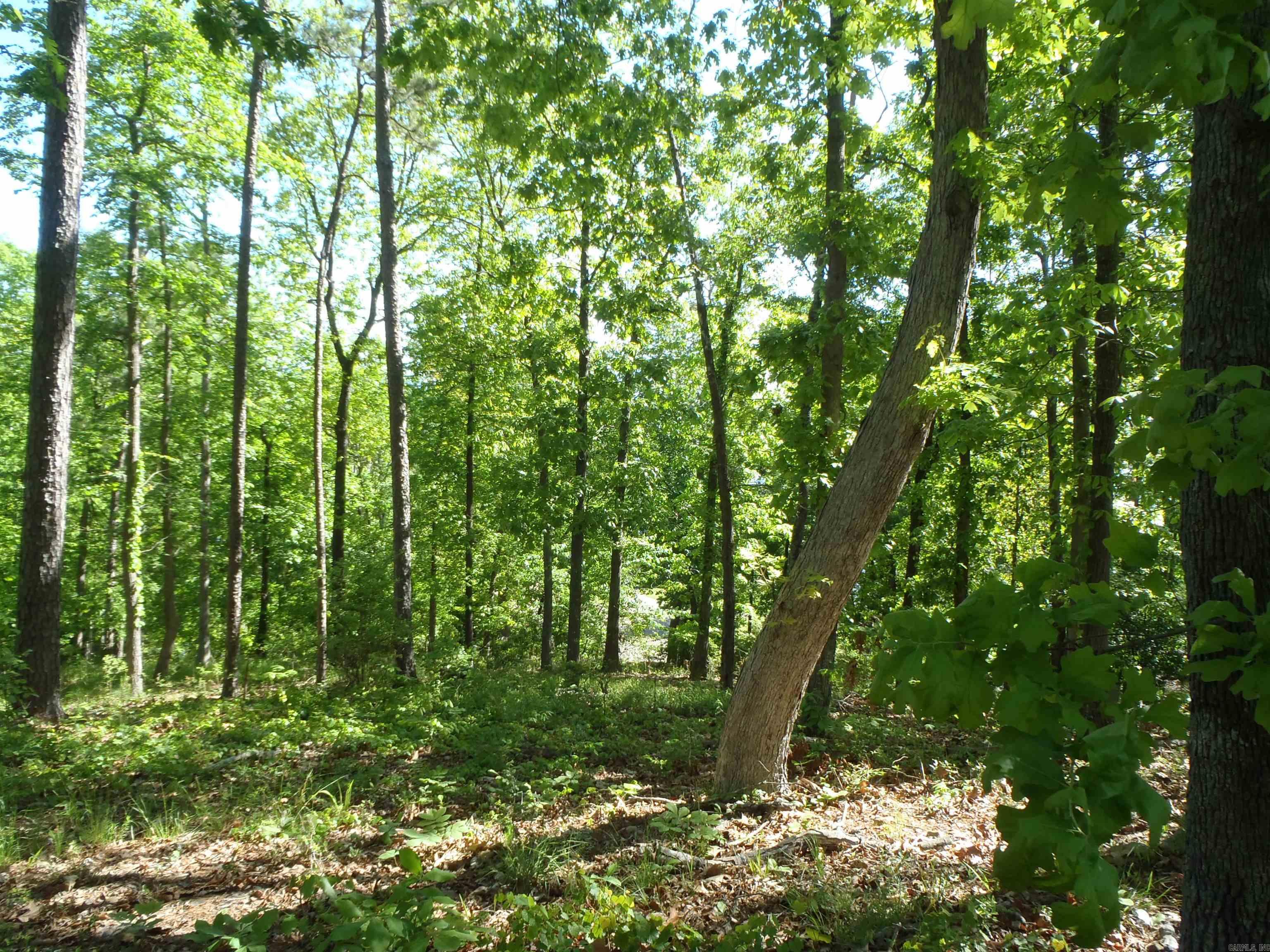 Driftwood Point - Land