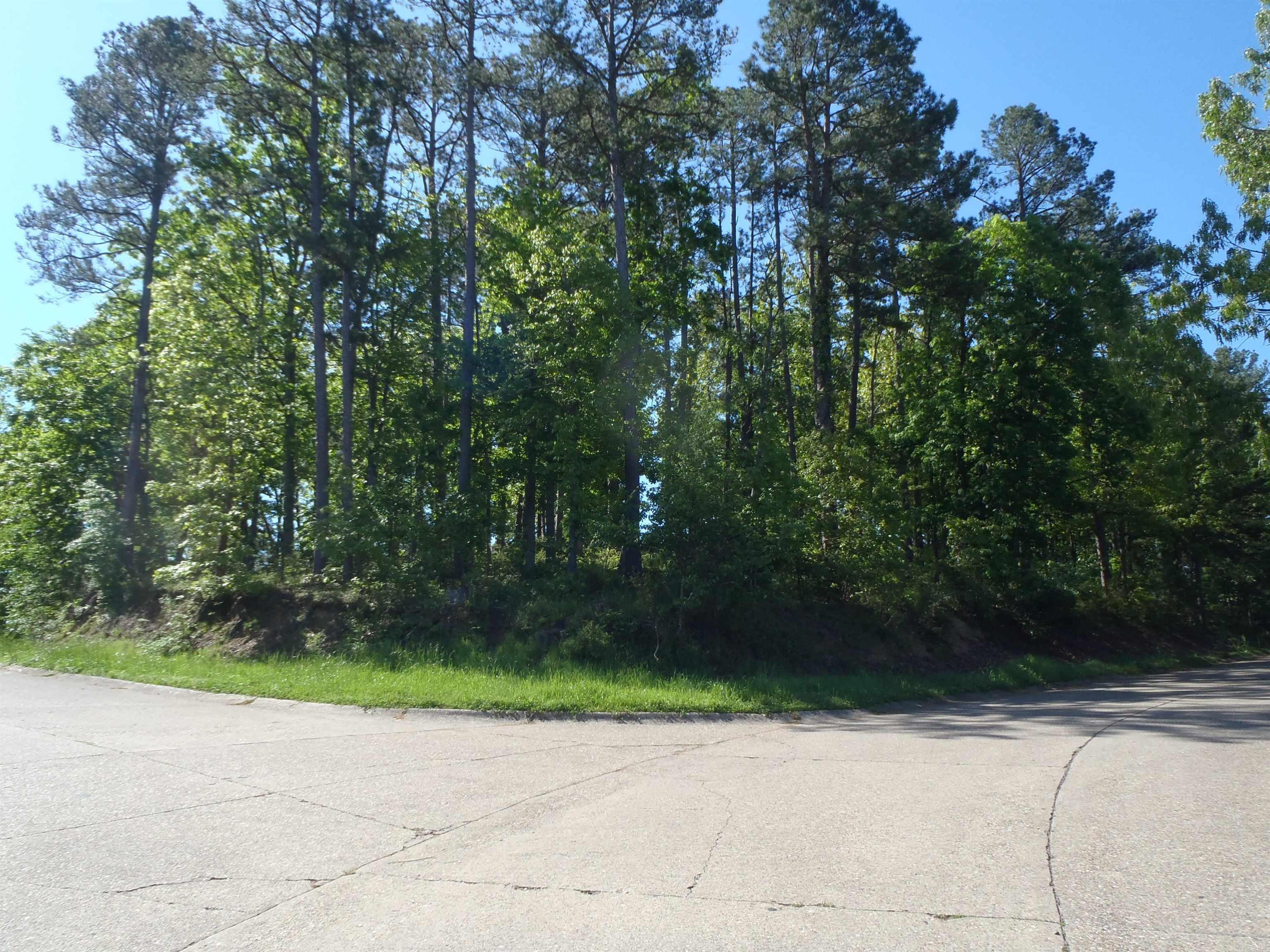 Driftwood Point - Land