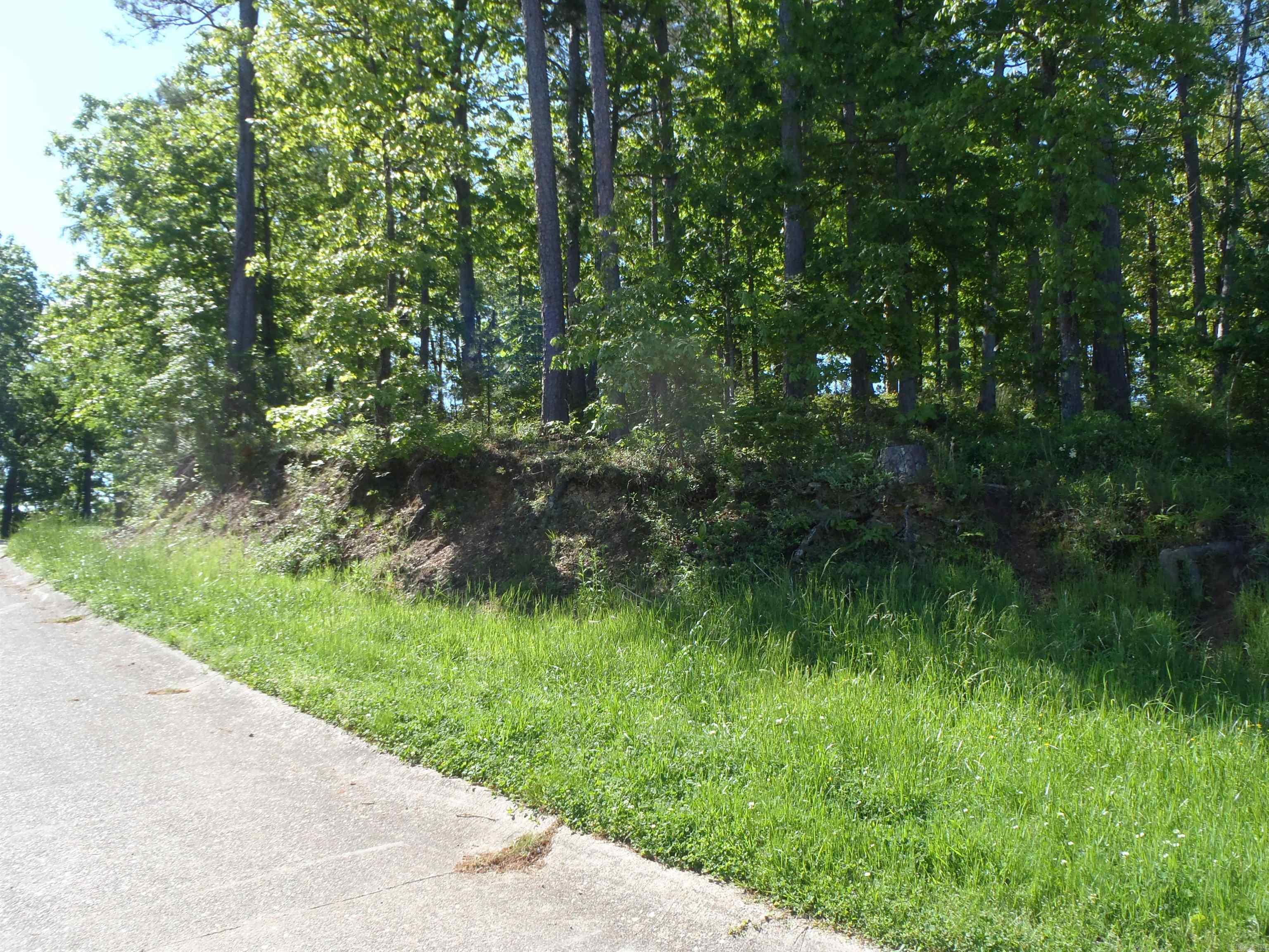 Driftwood Point - Land