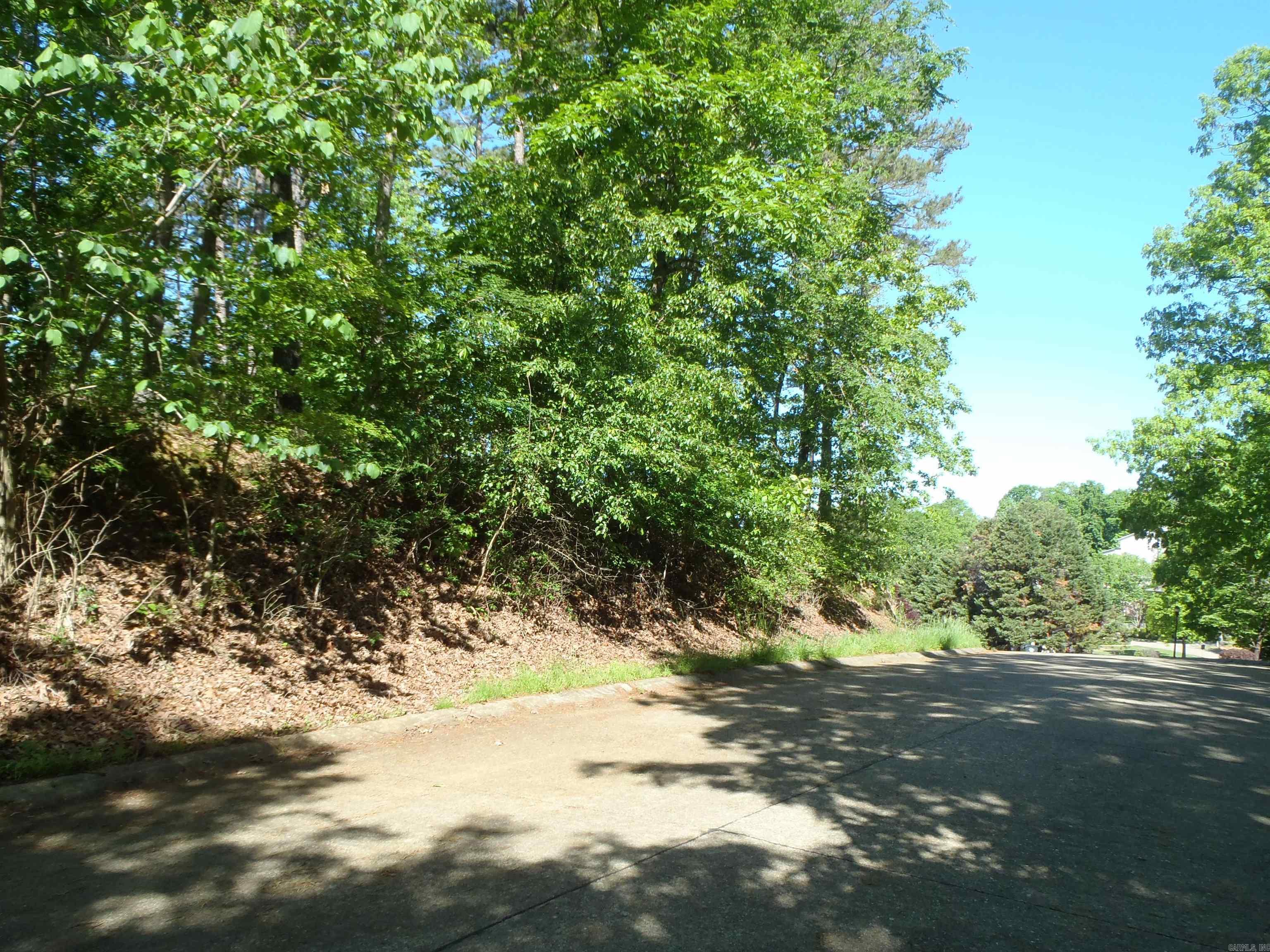 Driftwood Point - Land