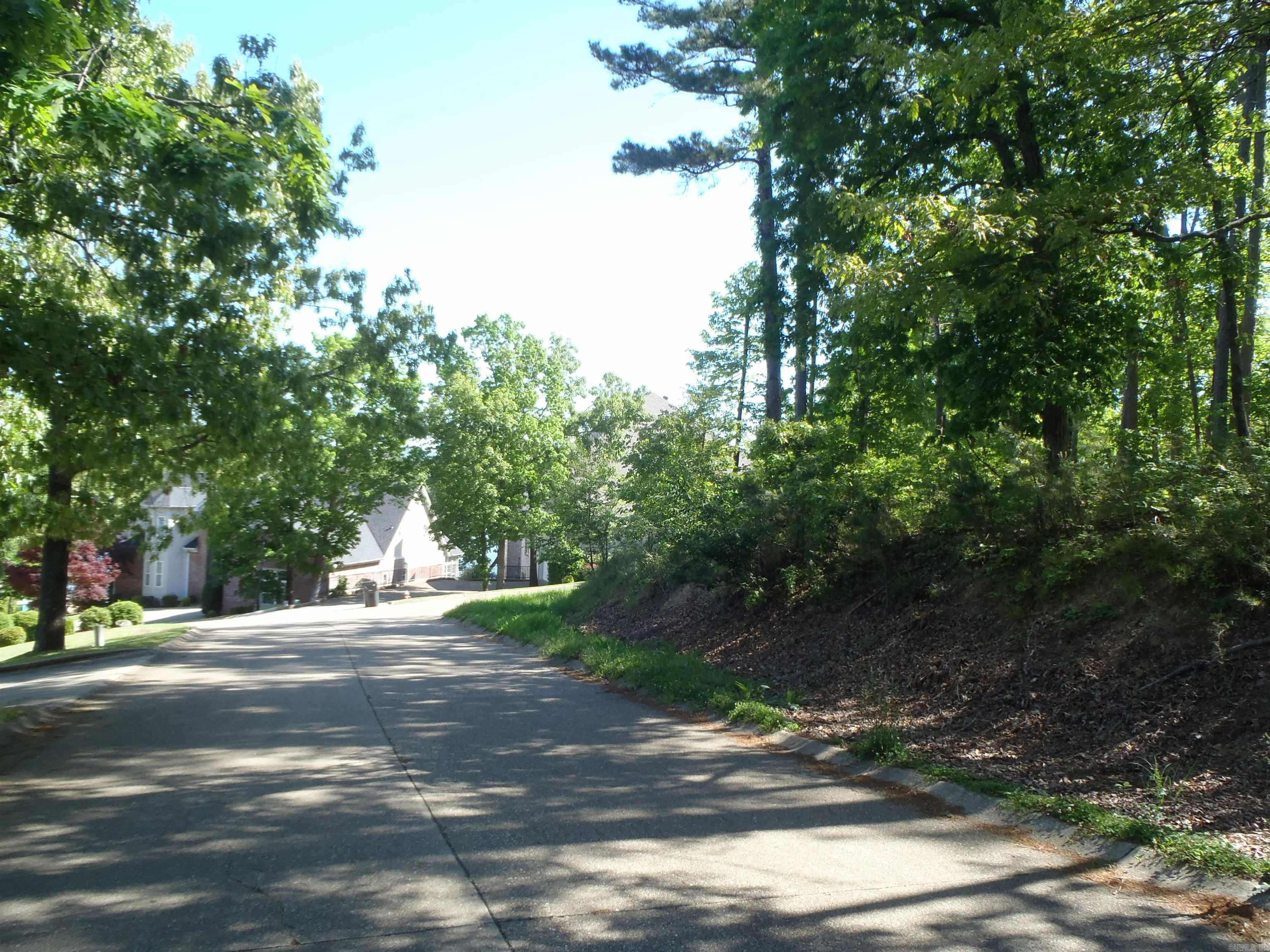 Driftwood Point - Land