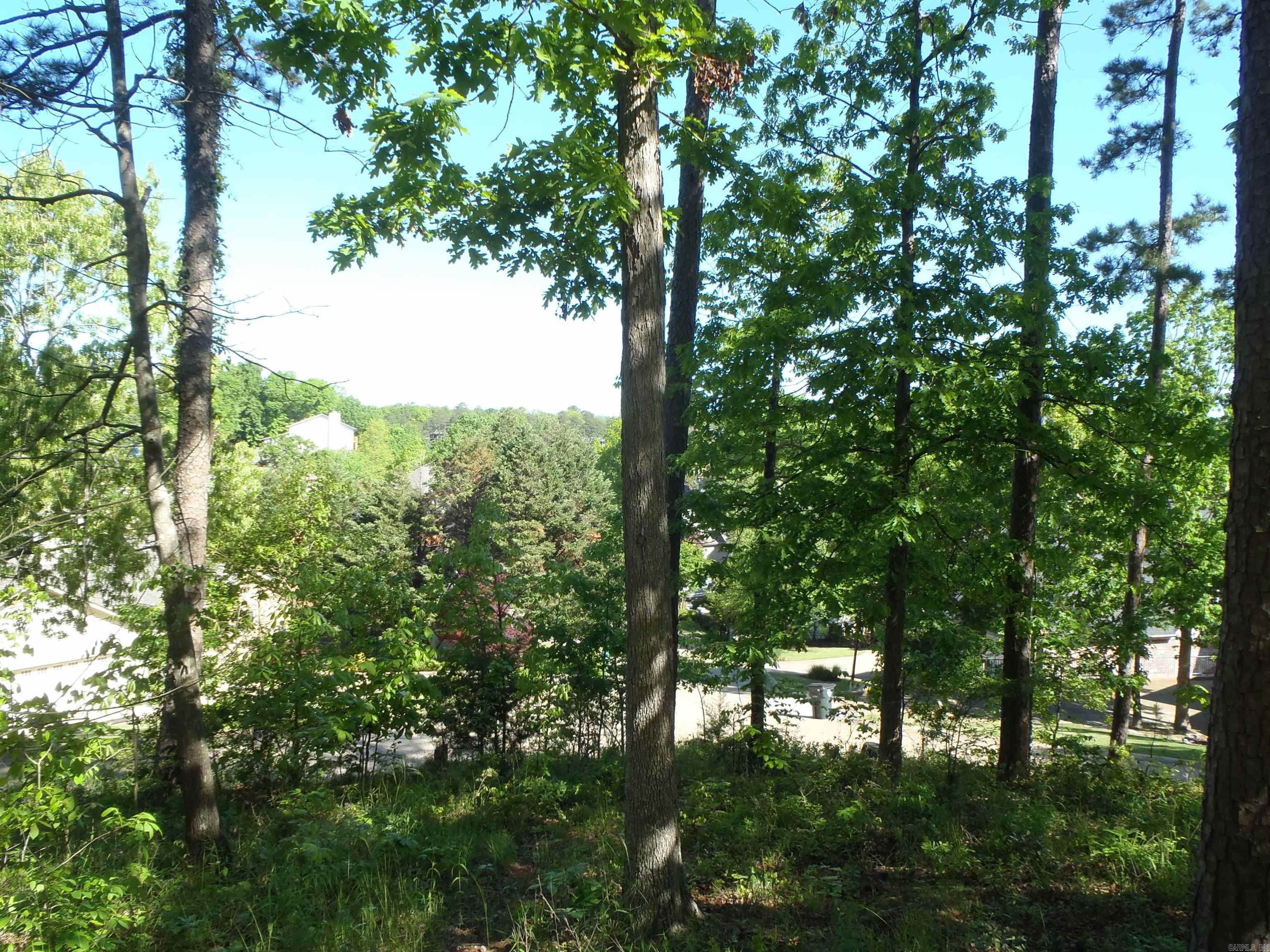 Driftwood Point - Land